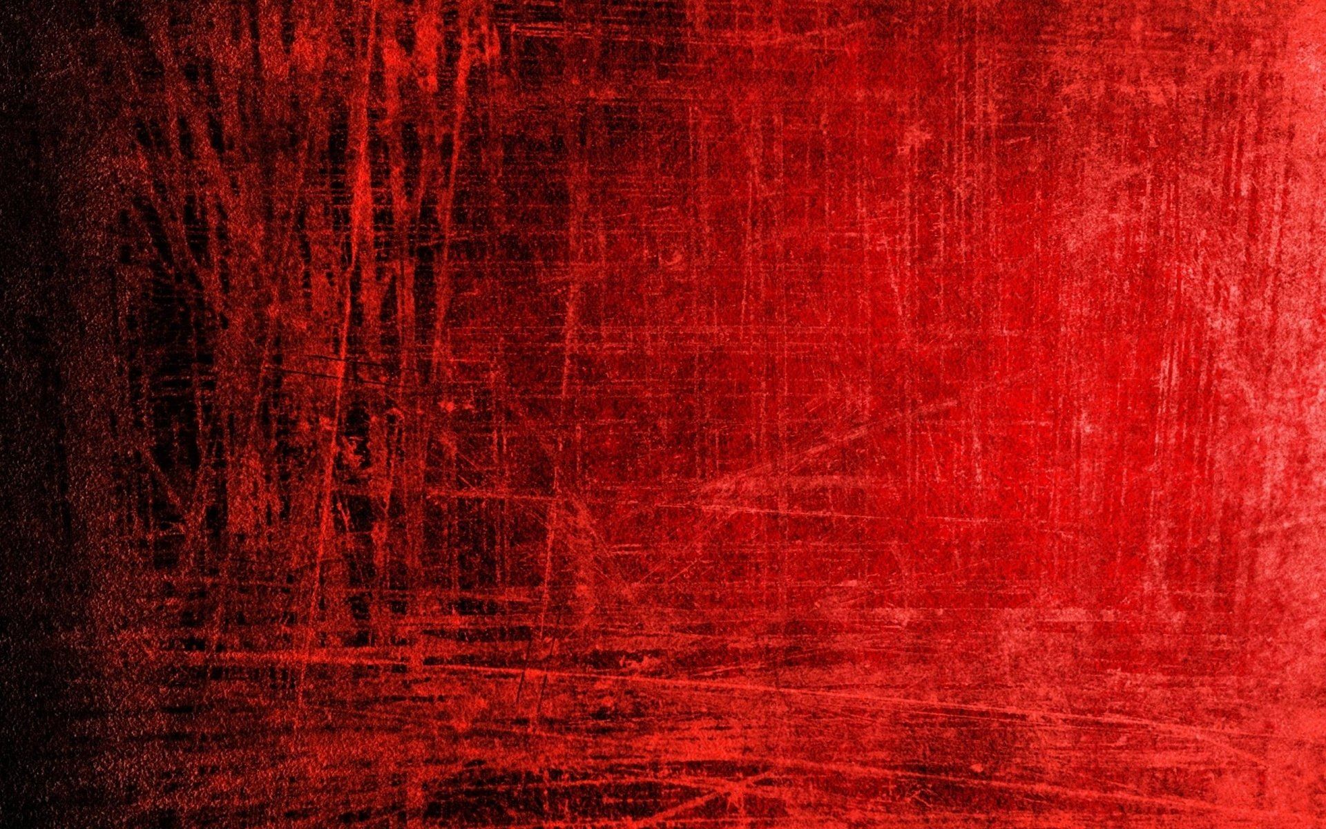 Fondo de pantalla   1920x1200