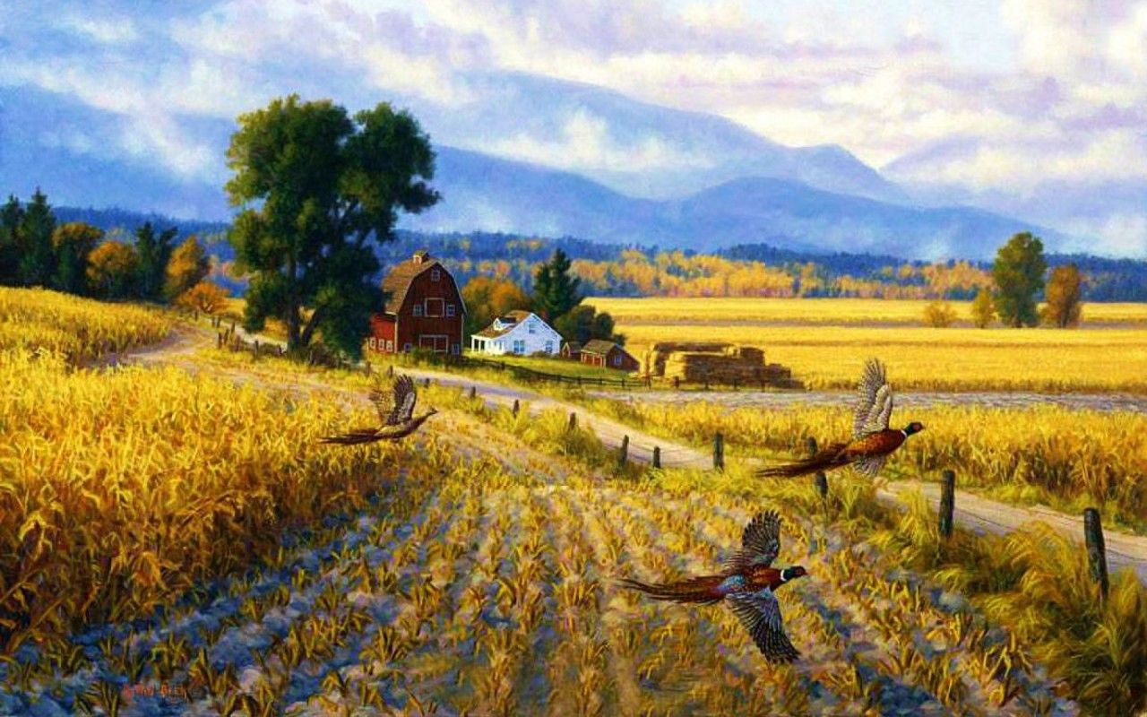 Fondo de pantalla de  1280x800