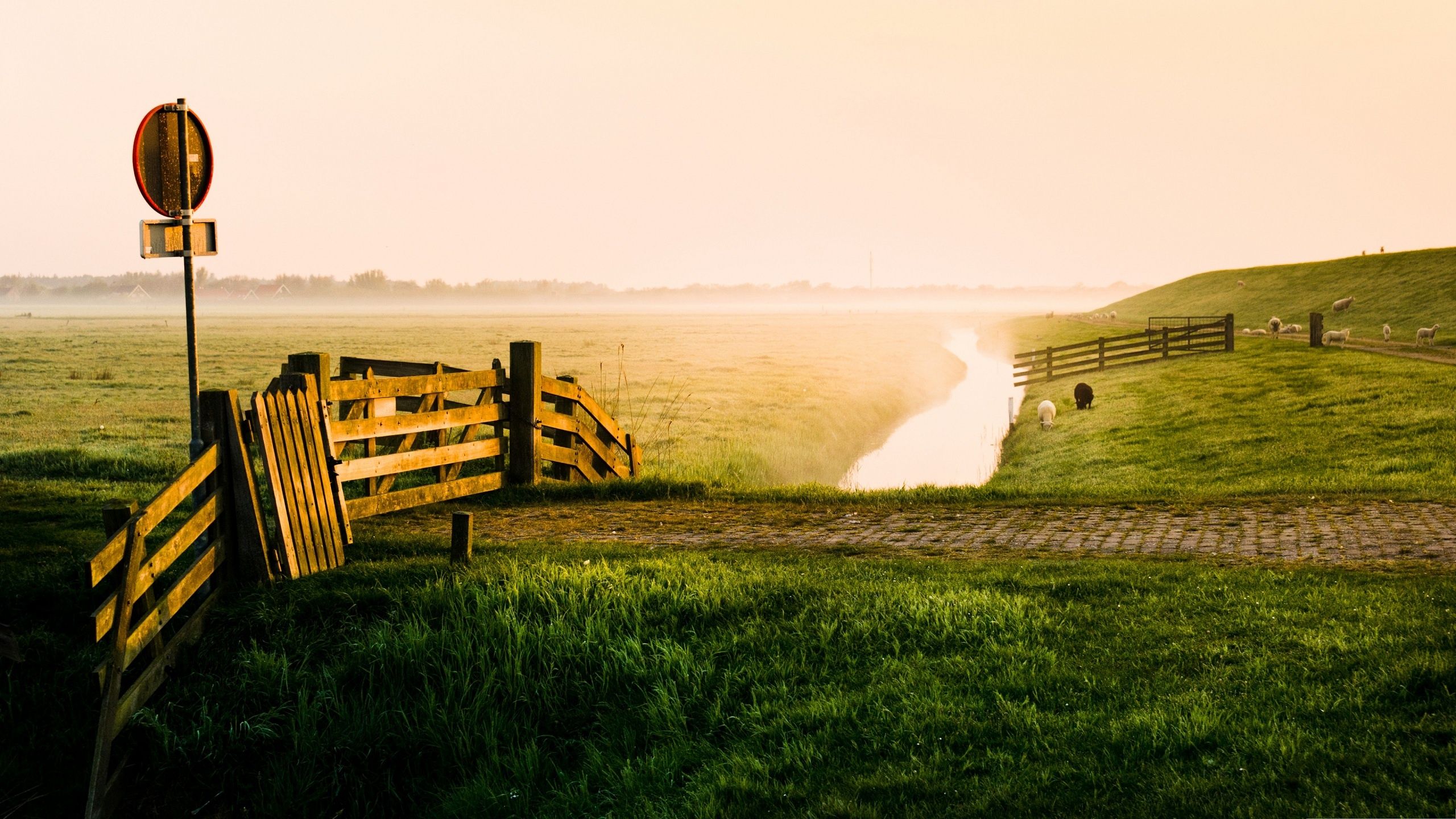 Fondo de pantalla de  2560x1440