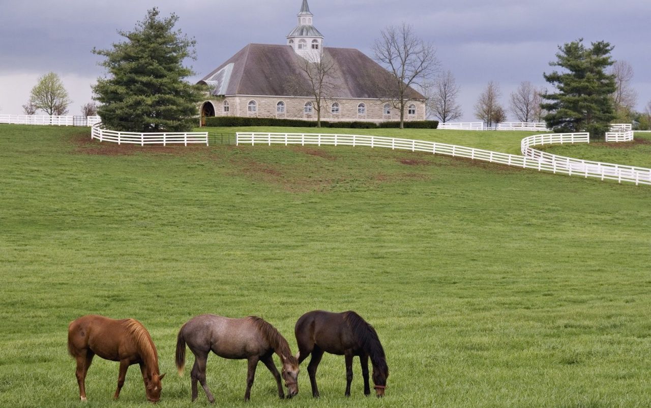 Fondo de pantalla de  1280x804