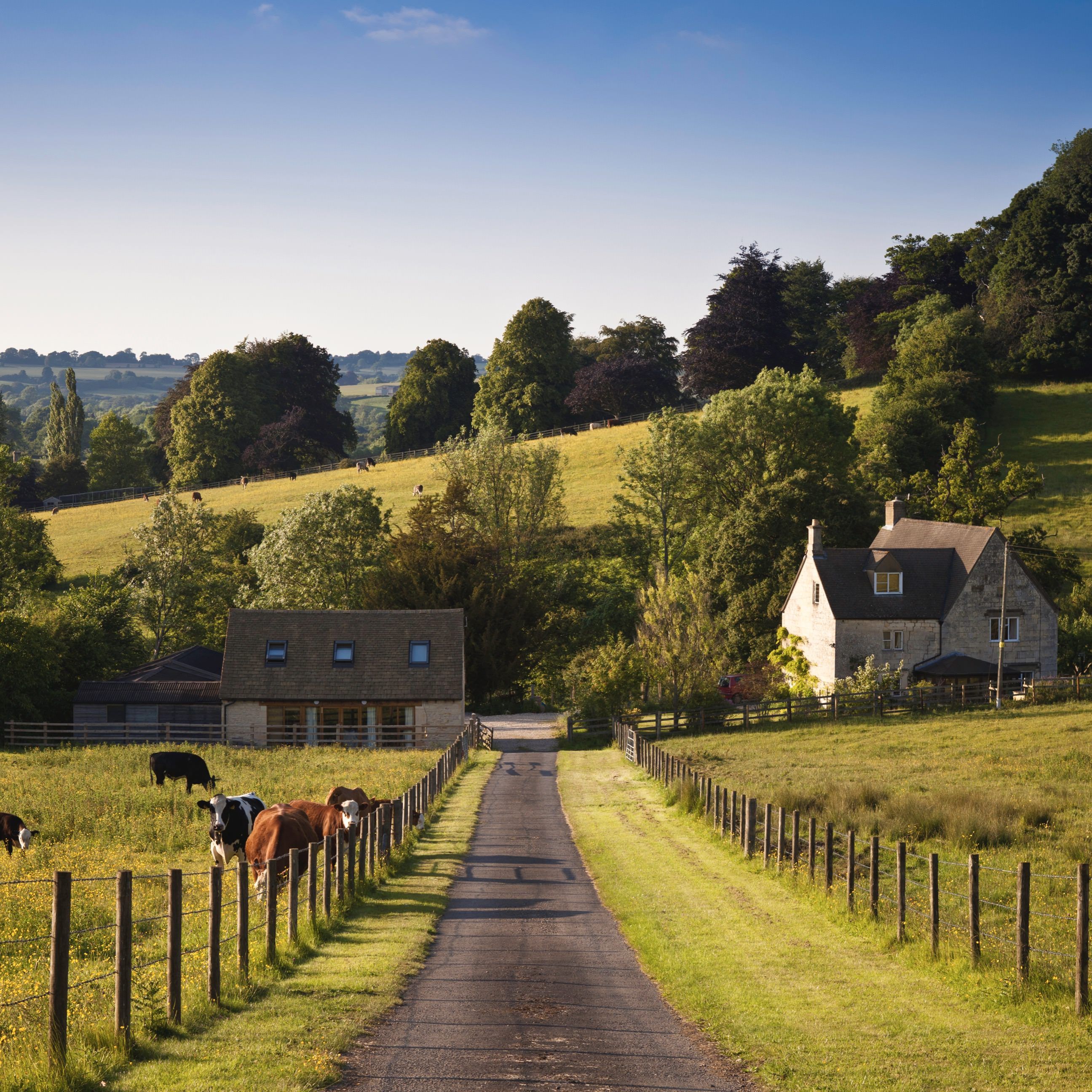 Fondo de pantalla de  2592x2592