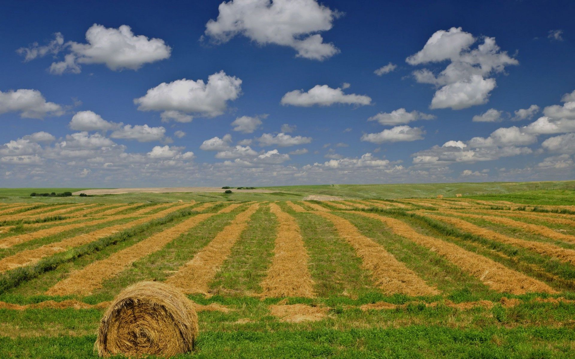 Fondo de pantalla de  1920x1200