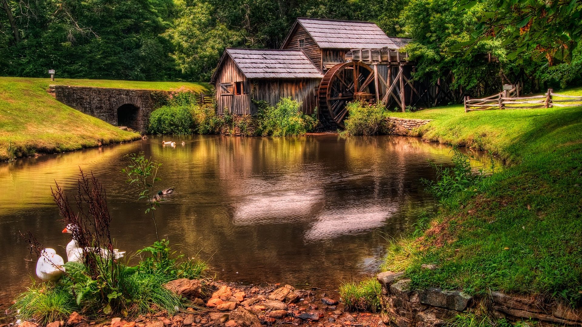 Fondo de pantalla de  1920x1080