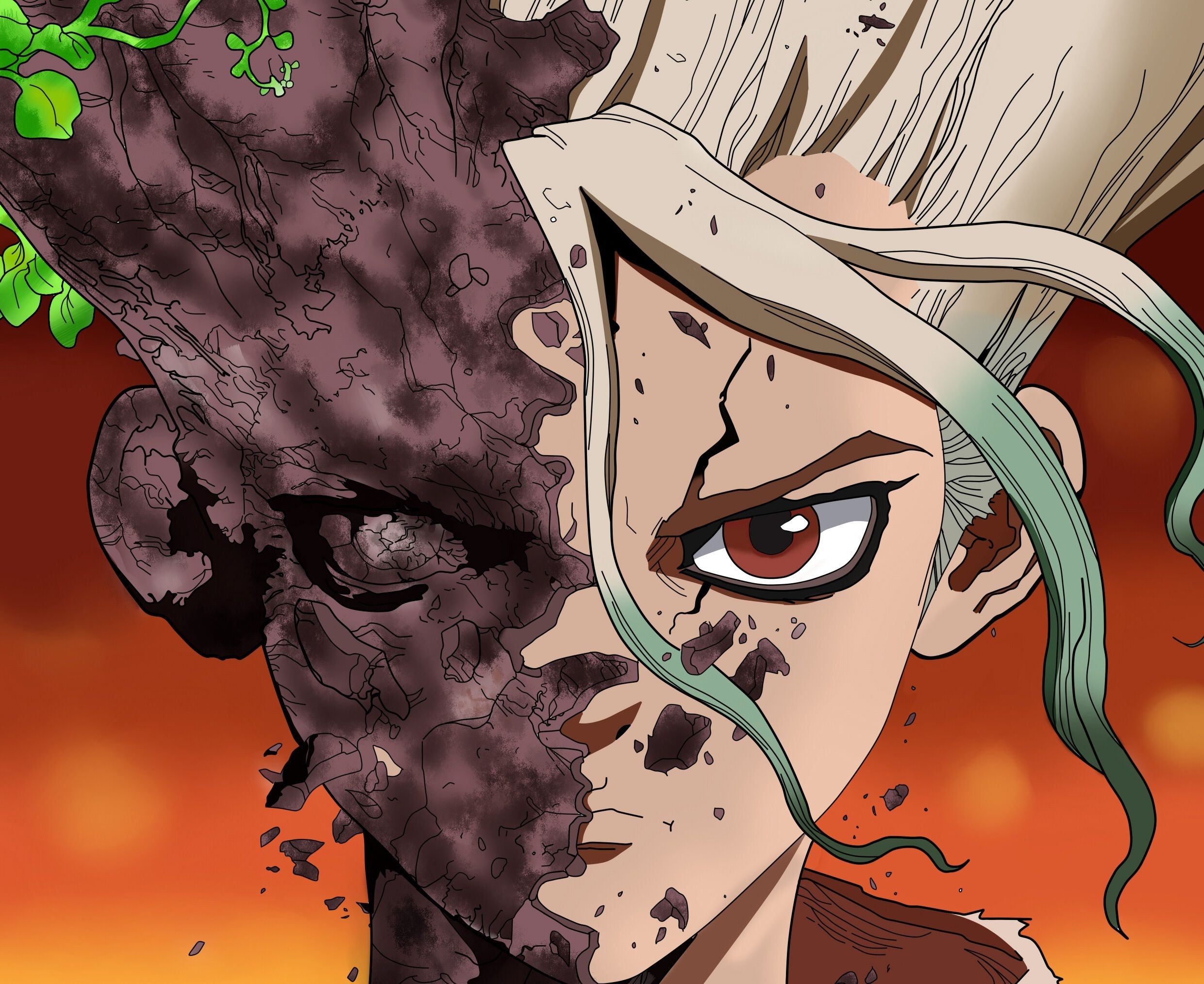 Fondo de pantalla de  2480x2028