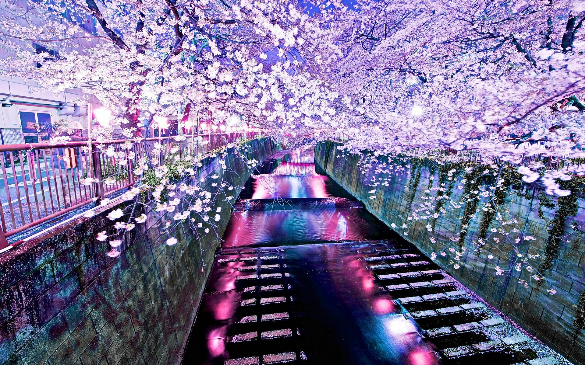 Fondo de pantalla de  1920x1200