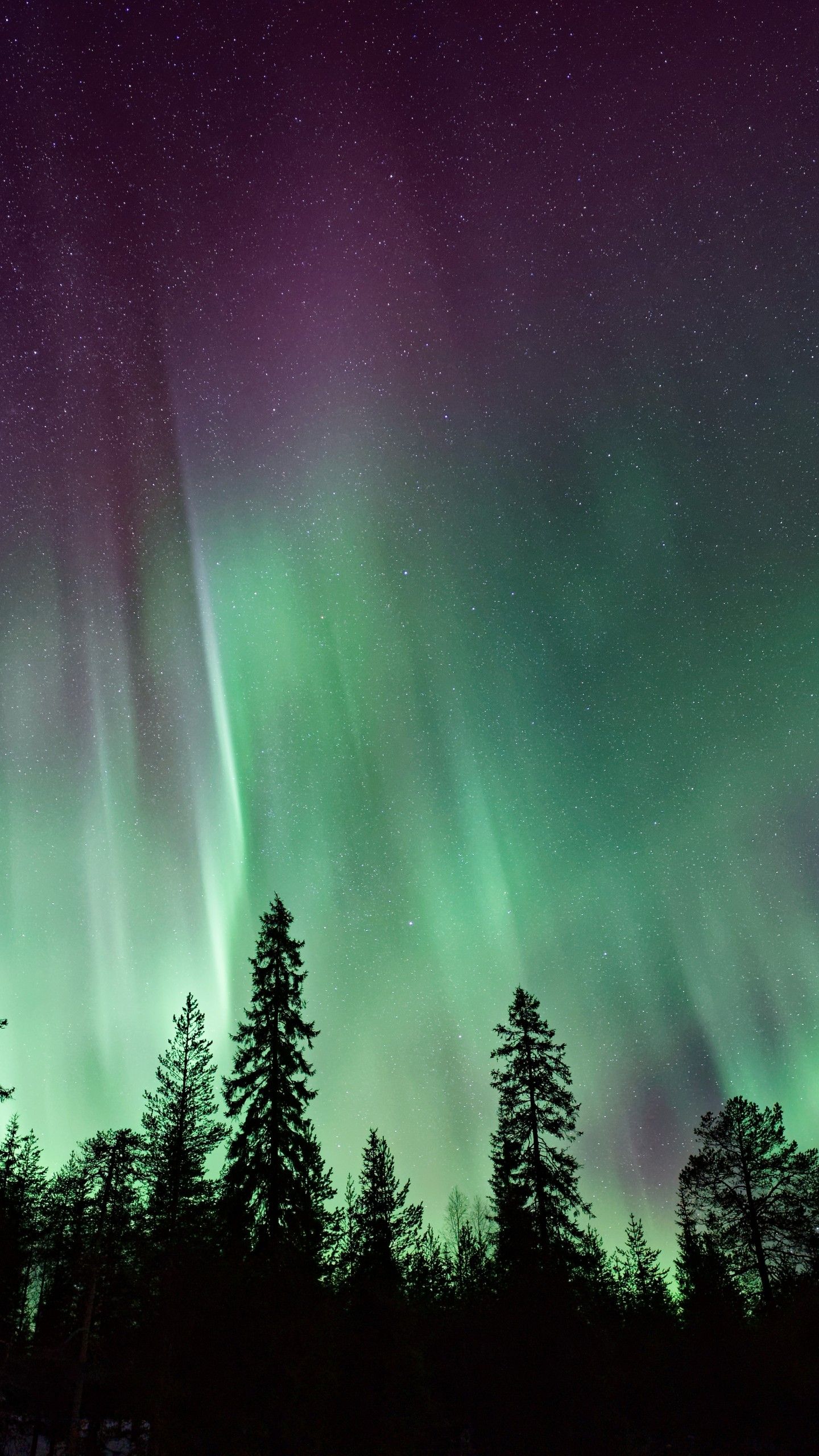 Fondo de pantalla de  1440x2560