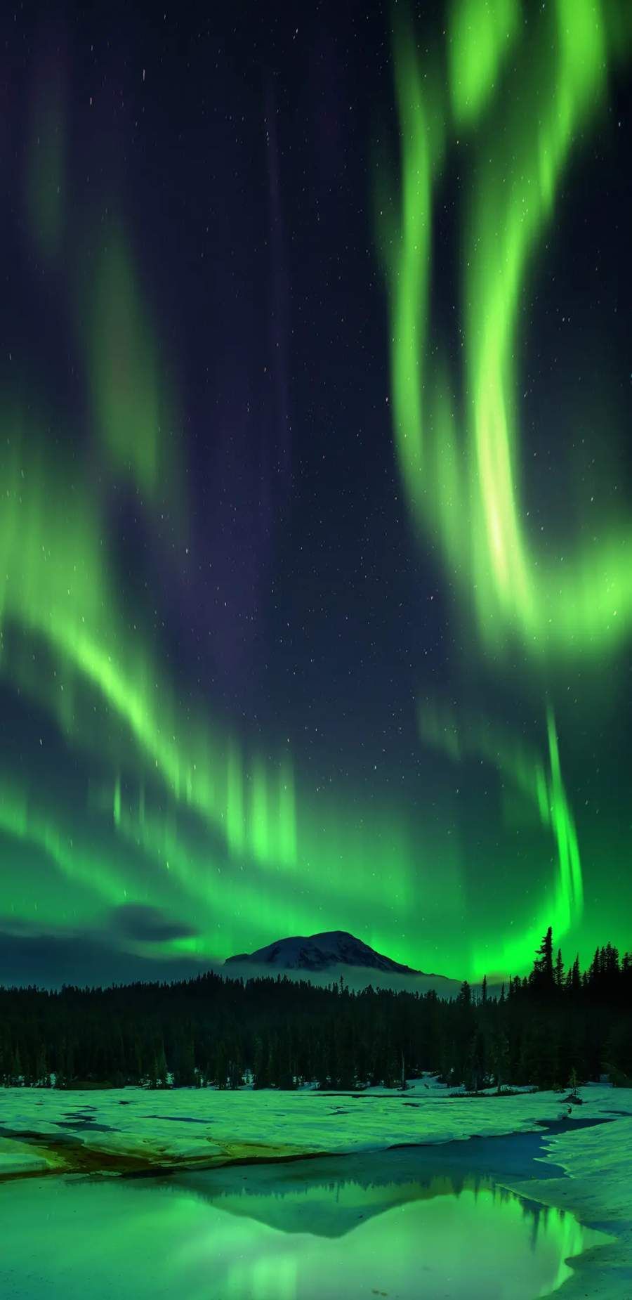 Fondo de pantalla de  900x1850