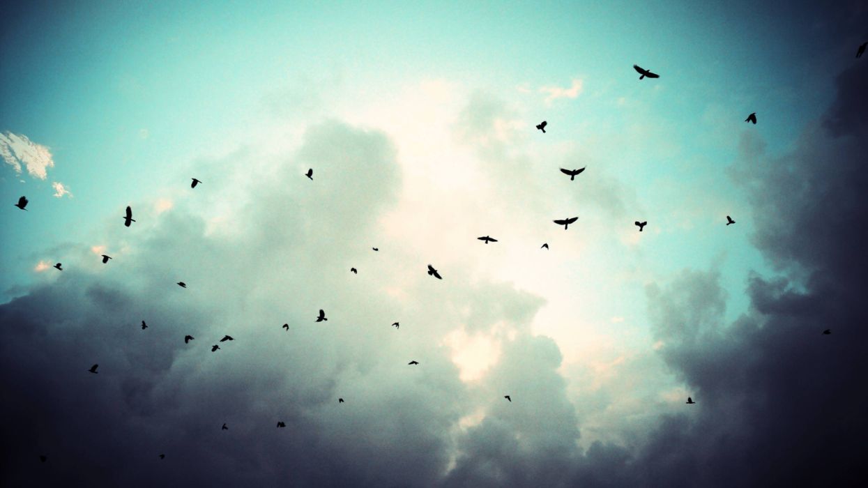 Fondo de pantalla de  1245x700