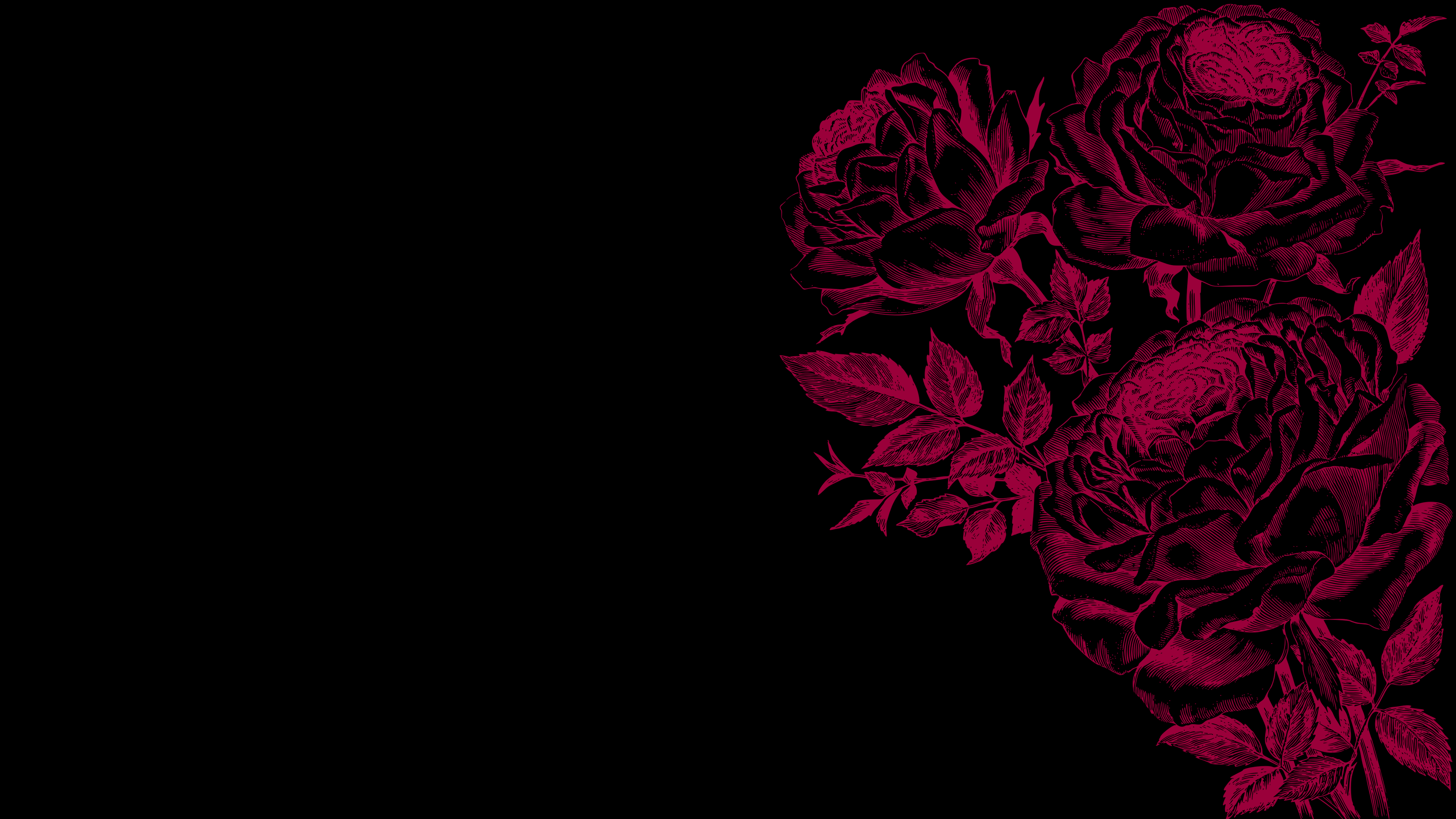 Pink Rose Vector Wallpaper - Fondos de pantalla