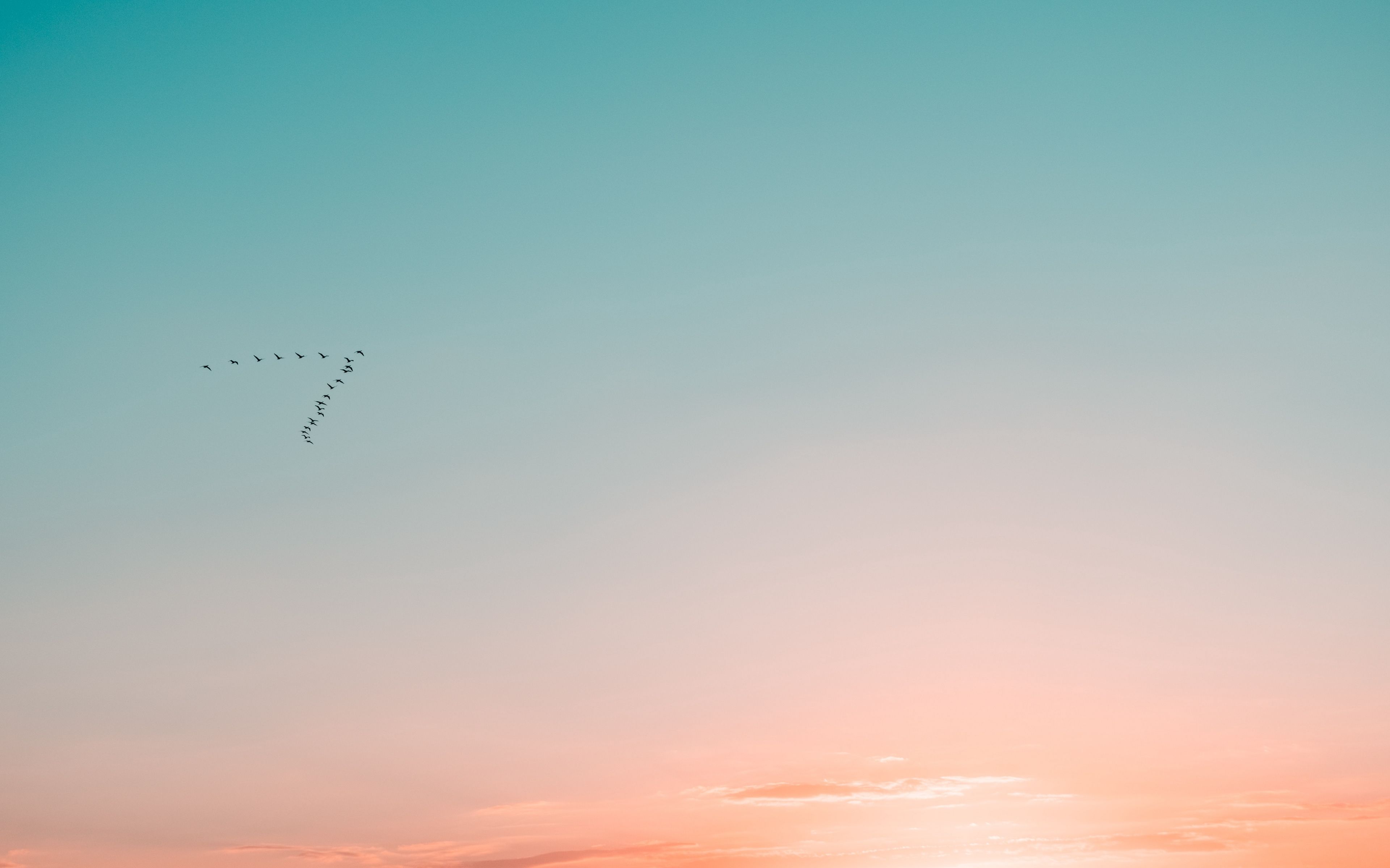 Fondo de pantalla de  3840x2400