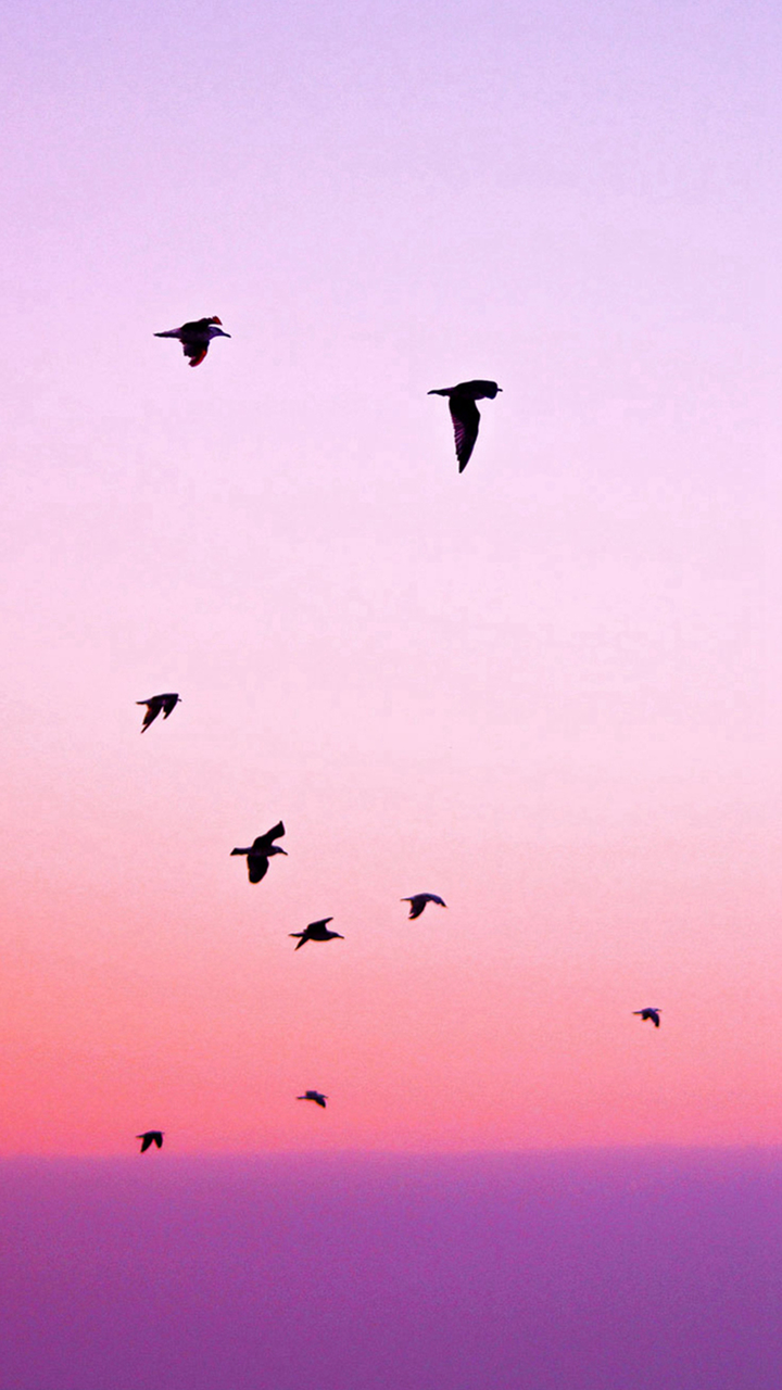 Fondo de pantalla de  720x1280