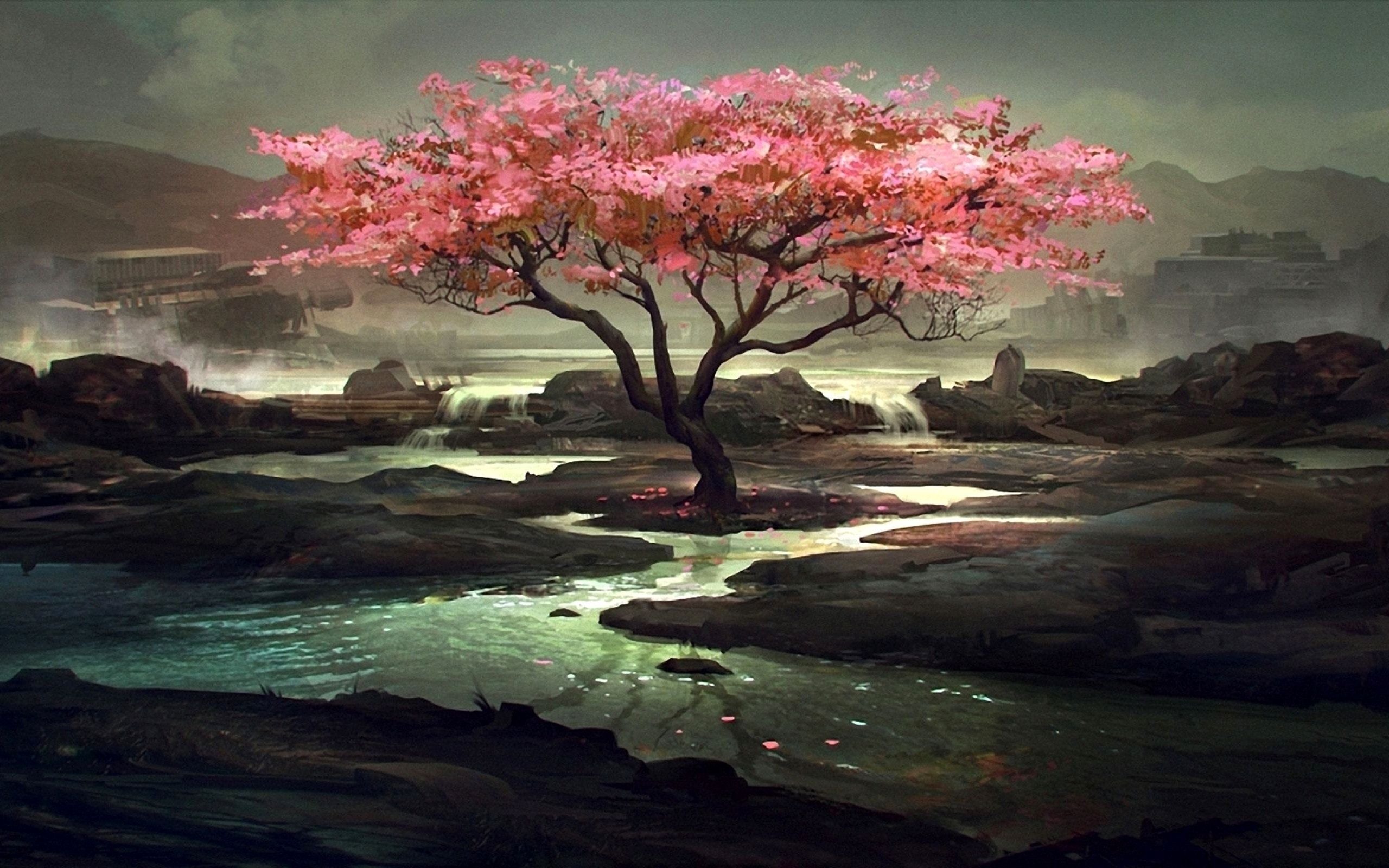 Fondo de pantalla de  2560x1600