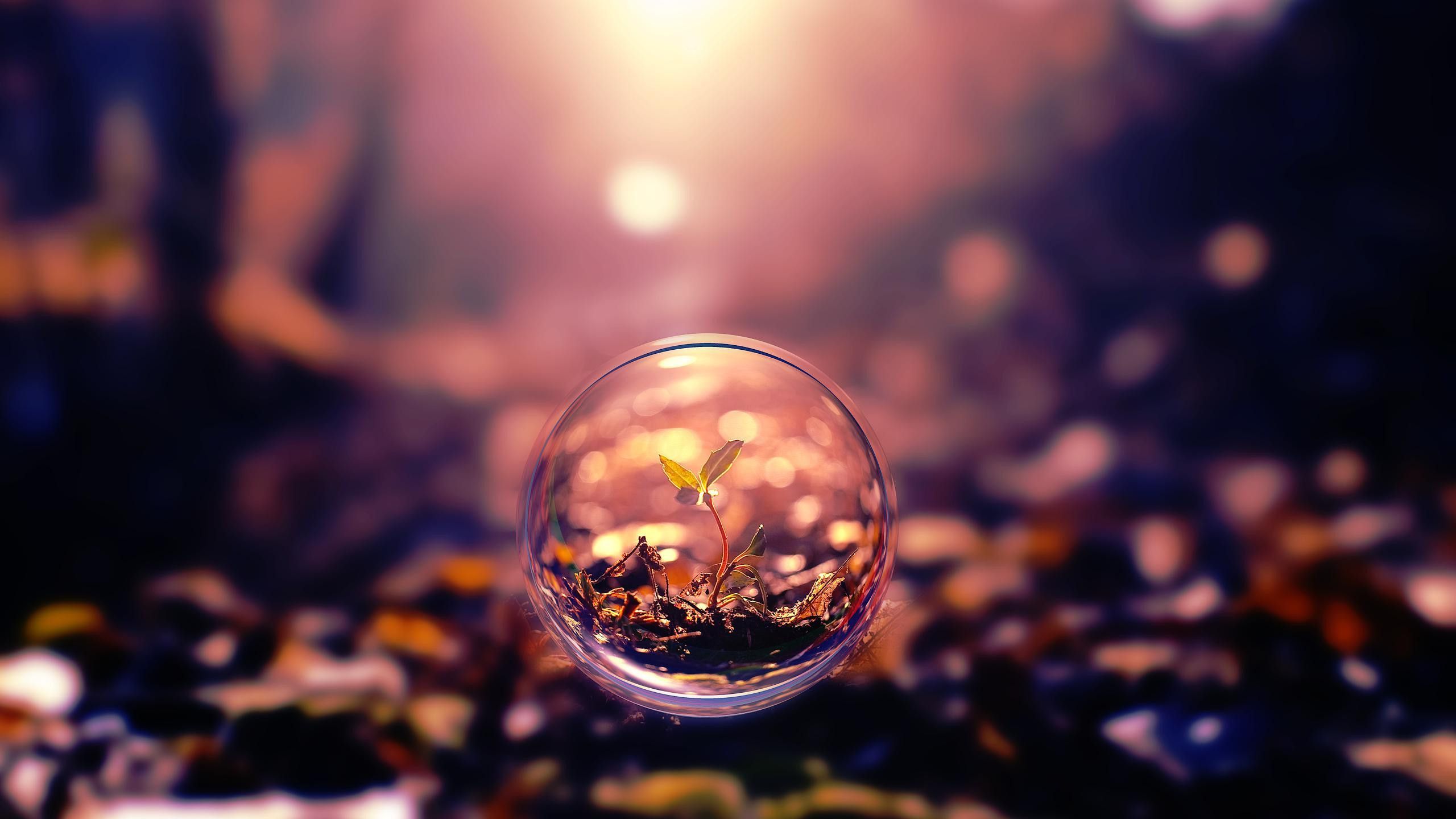 Fondo de pantalla de  2560x1440