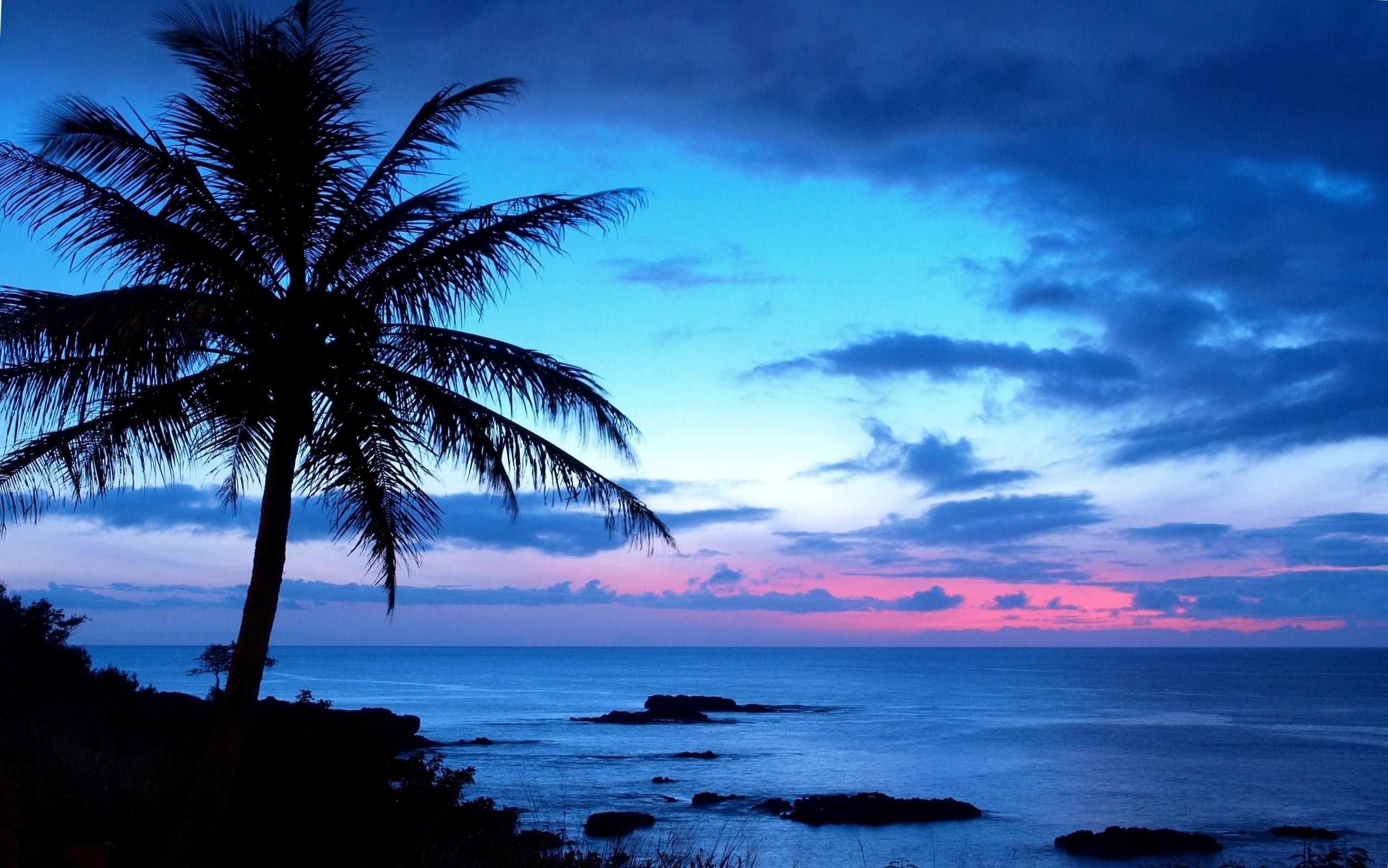 62+ fondos de pantalla de Hawaii Screensavers