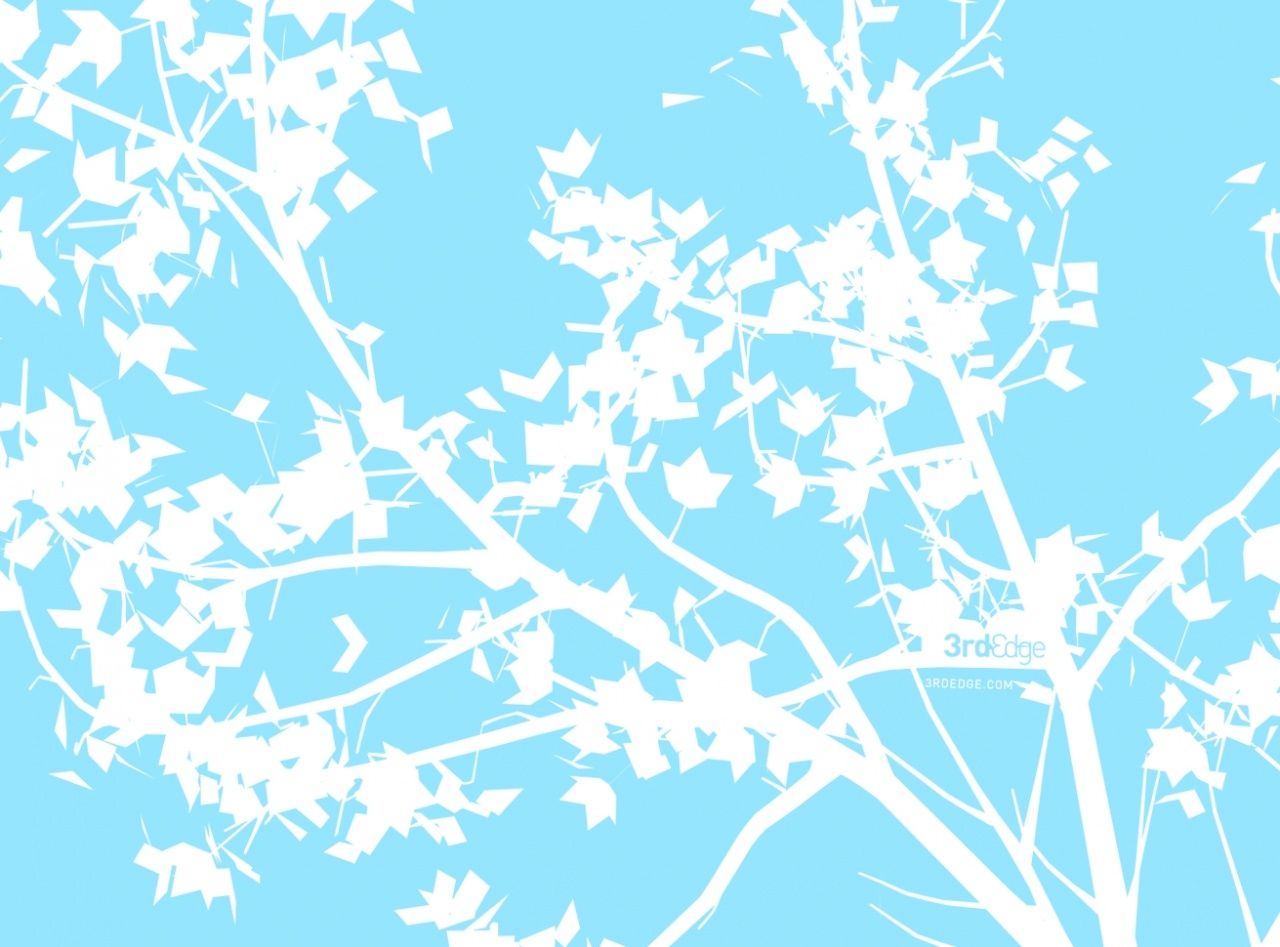 Fondo de pantalla   1280x947