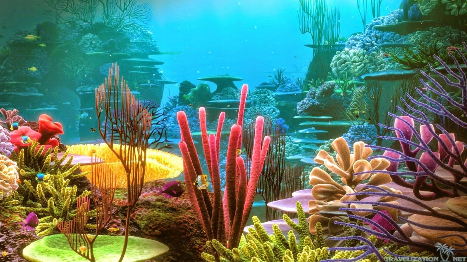 Fondo de pantalla de  1600x900