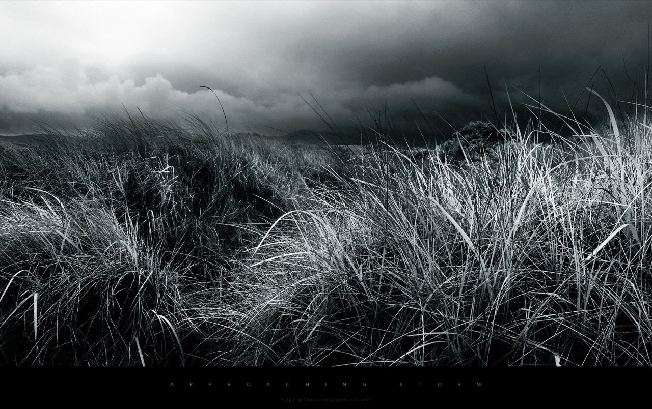 Fondo de pantalla de  1280x804