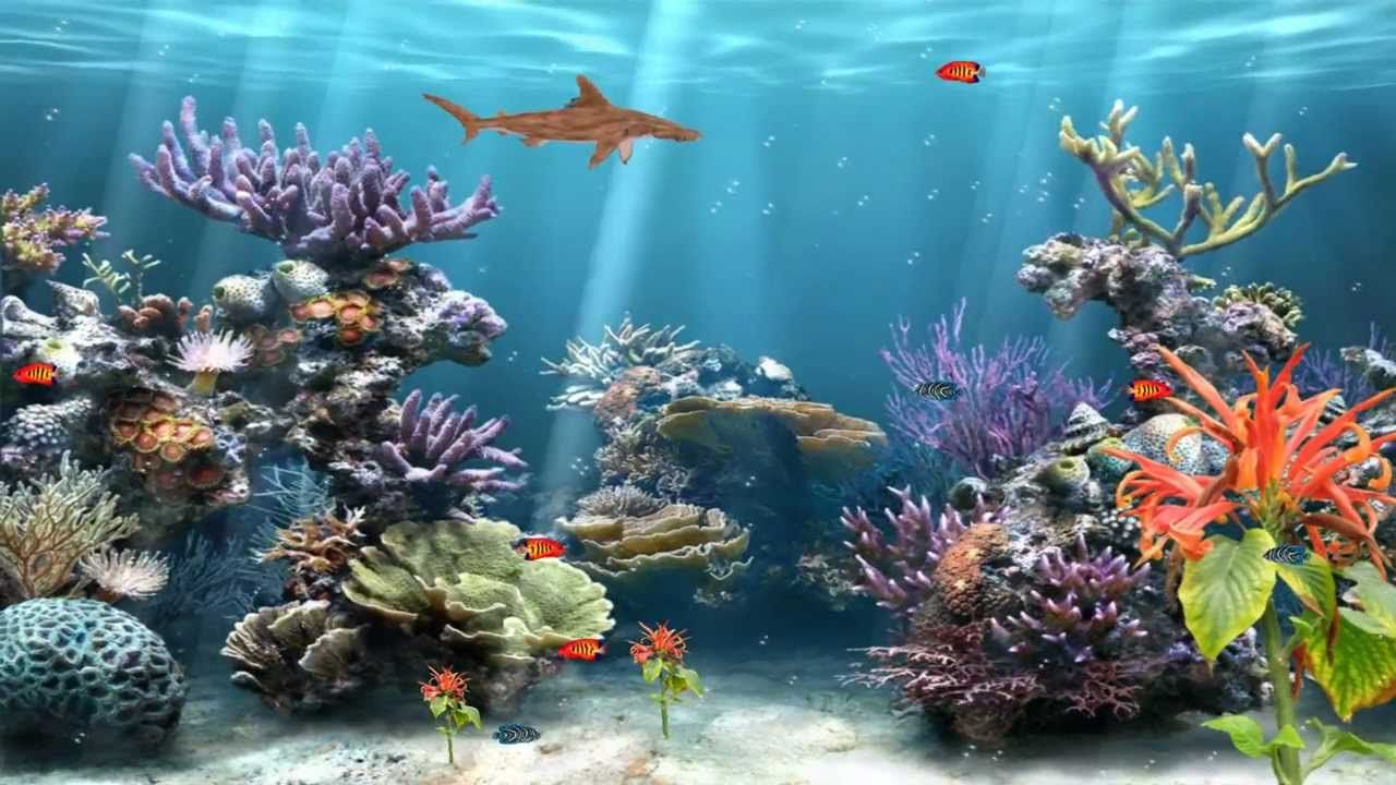 Fondo de pantalla de  1280x720