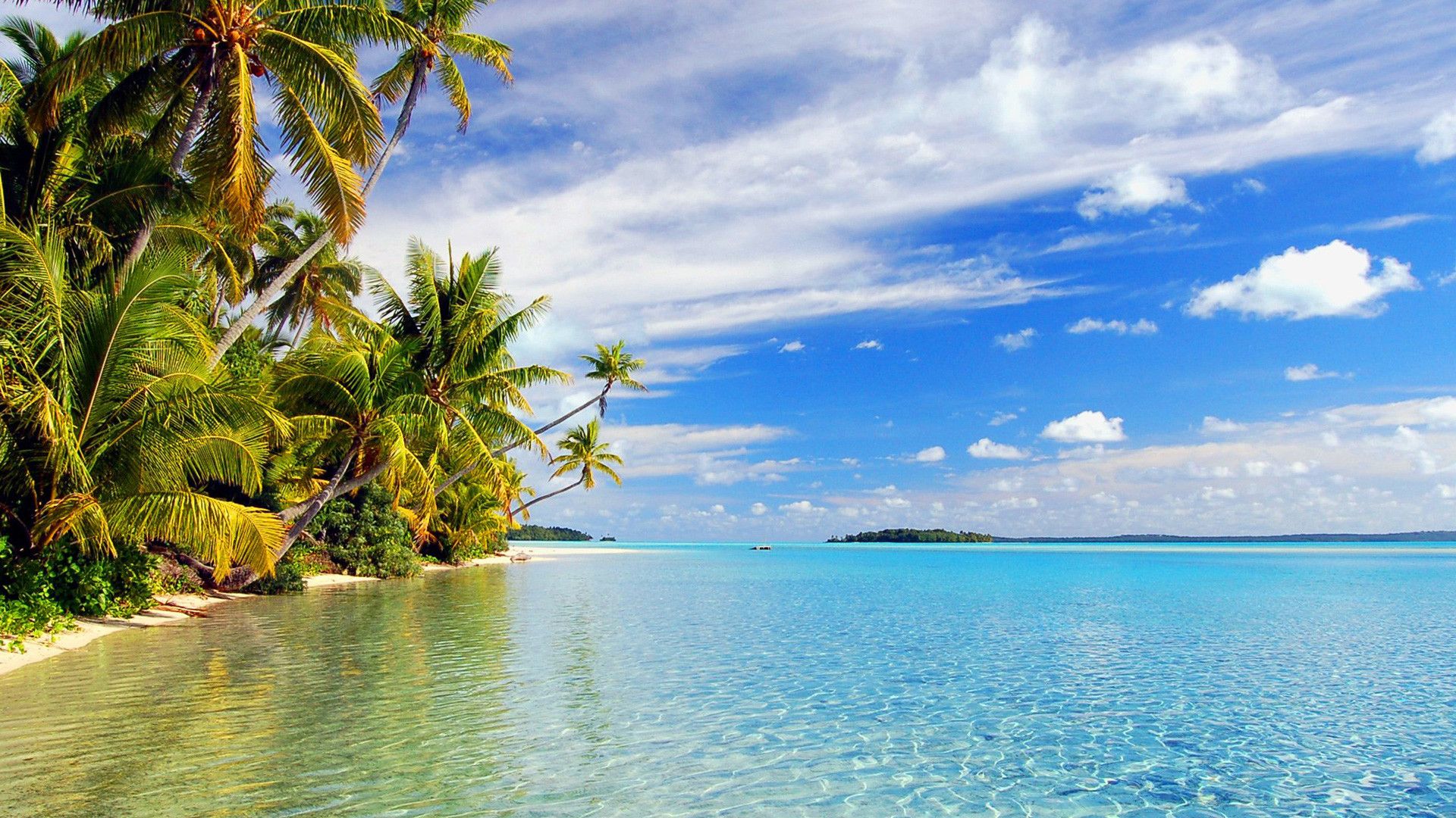 62+ fondos de pantalla de Hawaii Screensavers