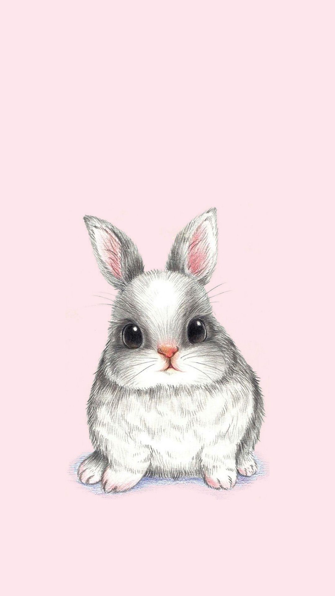 Más de 40 fondos de pantalla de Bunny Phone - Descarga