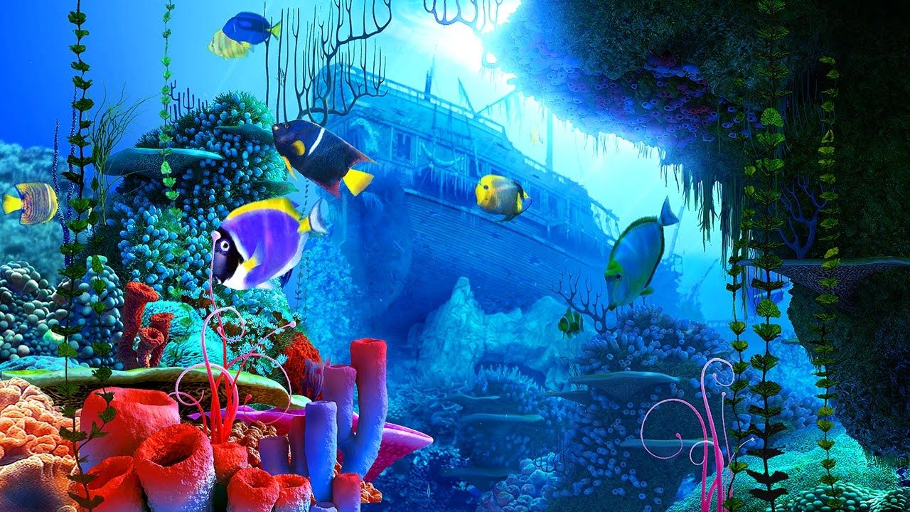Fondo de pantalla de  1280x720