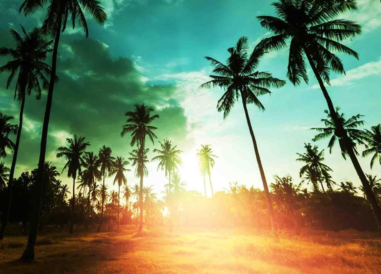 Hawaii Fondos de pantalla Full HD # L79OD42 | WallpapersExpert.com
