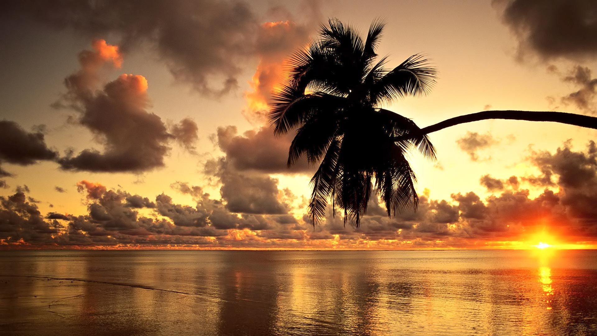 Hawaii Wallpapers HD