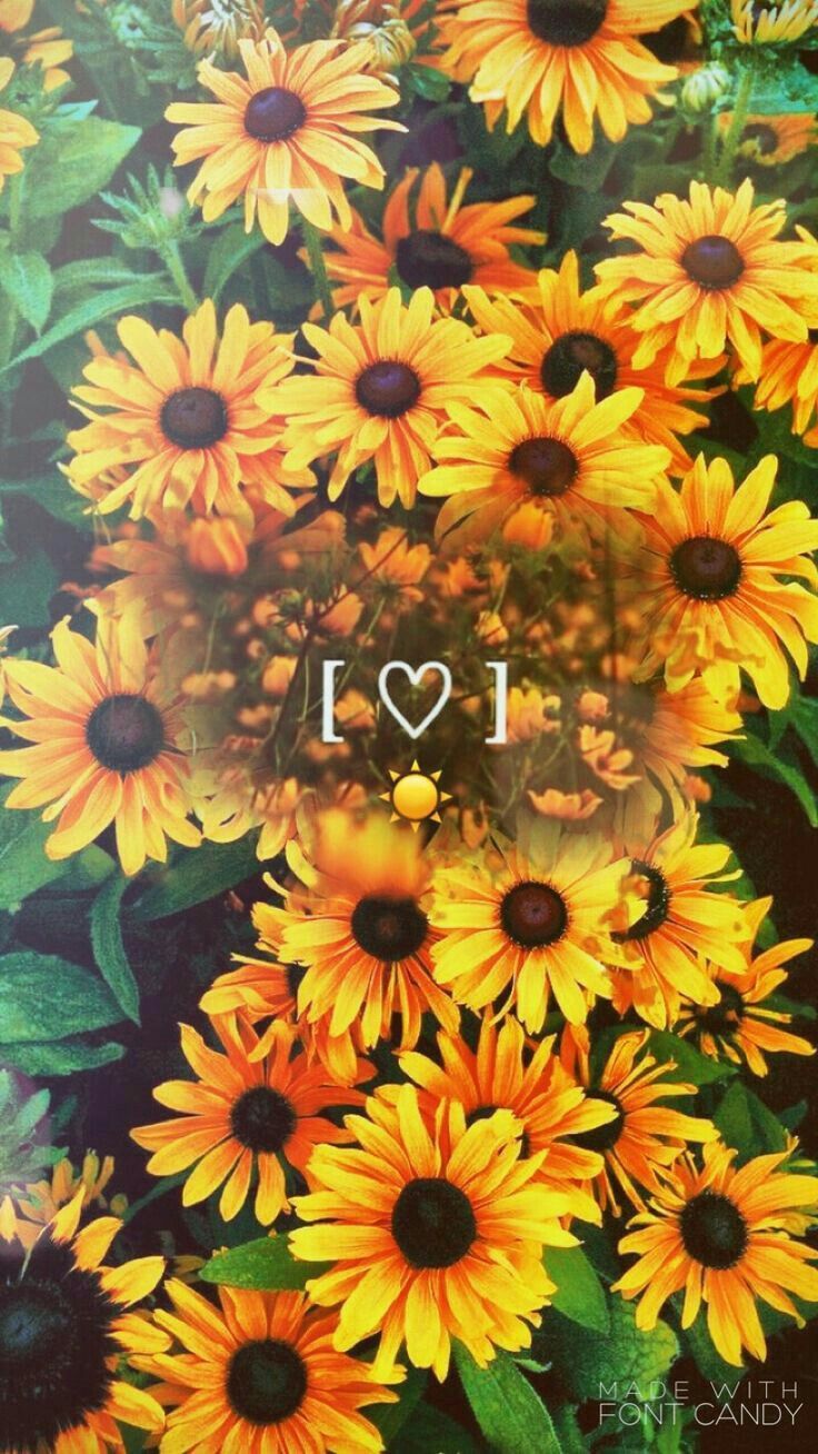 Fondo de pantalla   736x1308