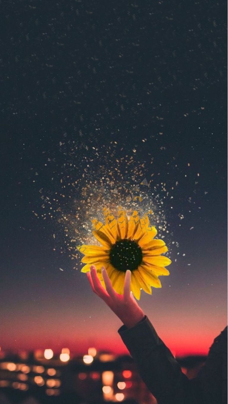 Fondo de pantalla   768x1357