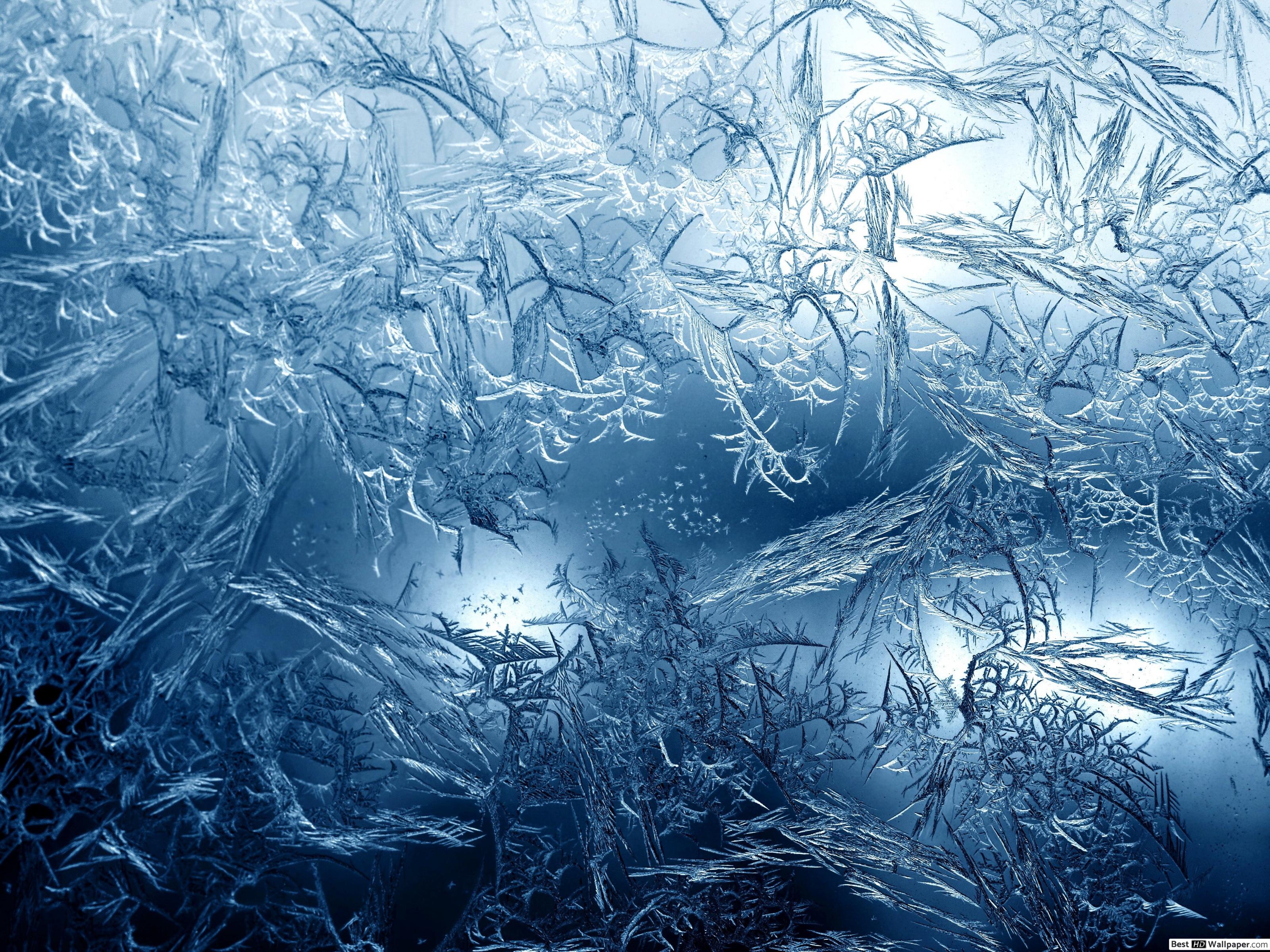 Fondo de pantalla de  3200x2400