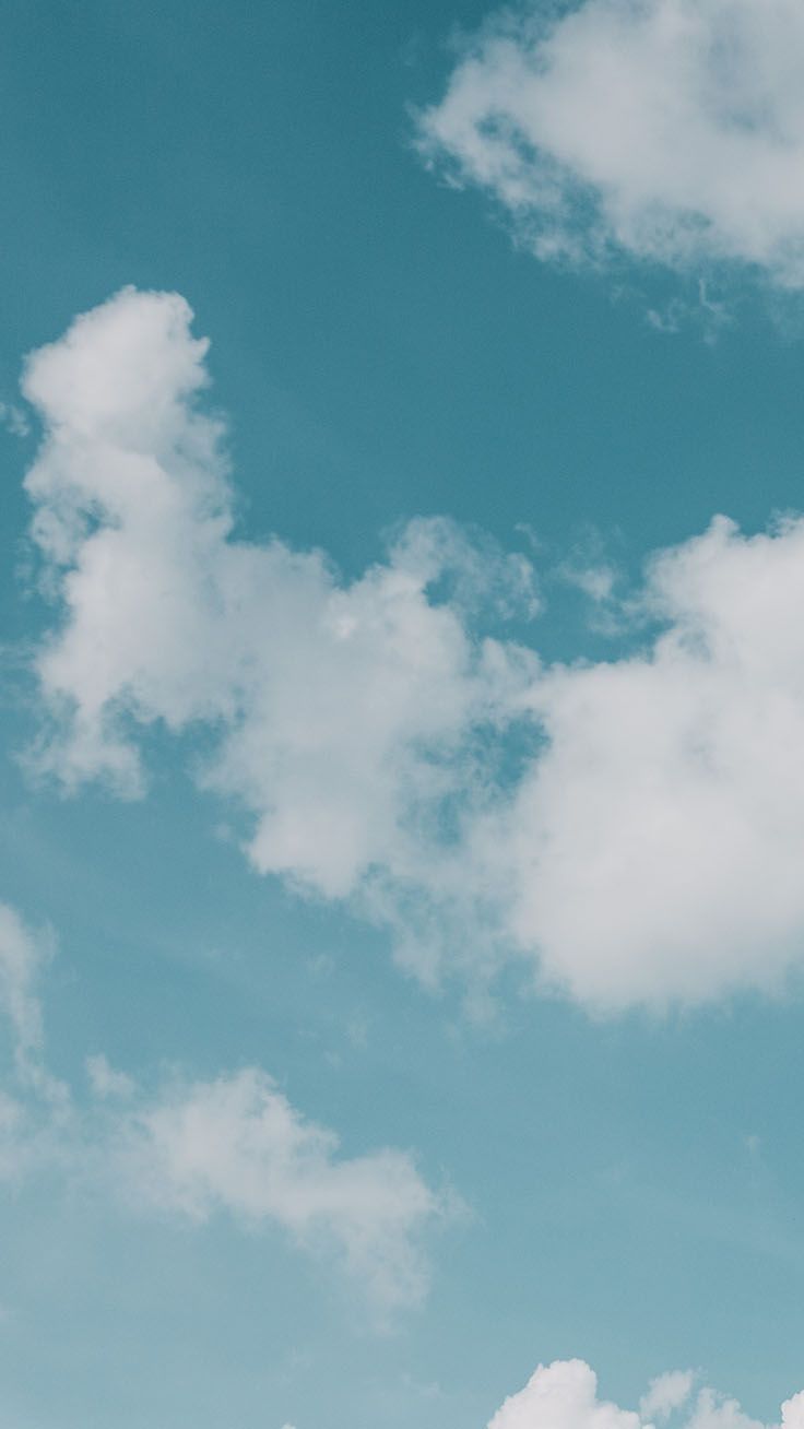 Fondo de pantalla de  736x1308