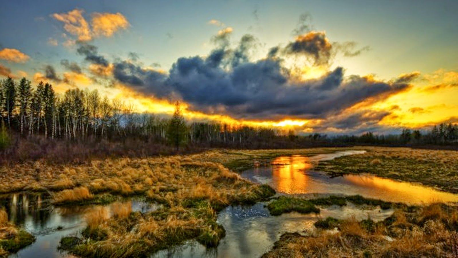 Fondo de pantalla   1600x900