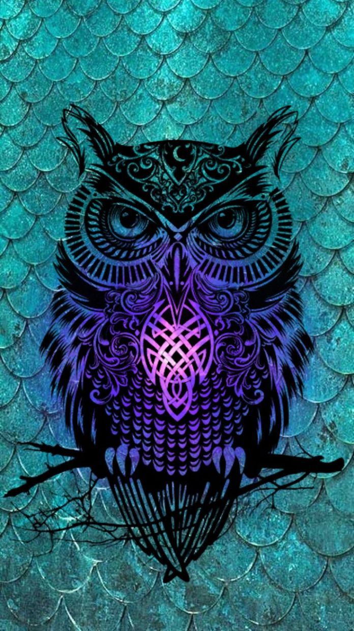 Fondo de pantalla   696x1238