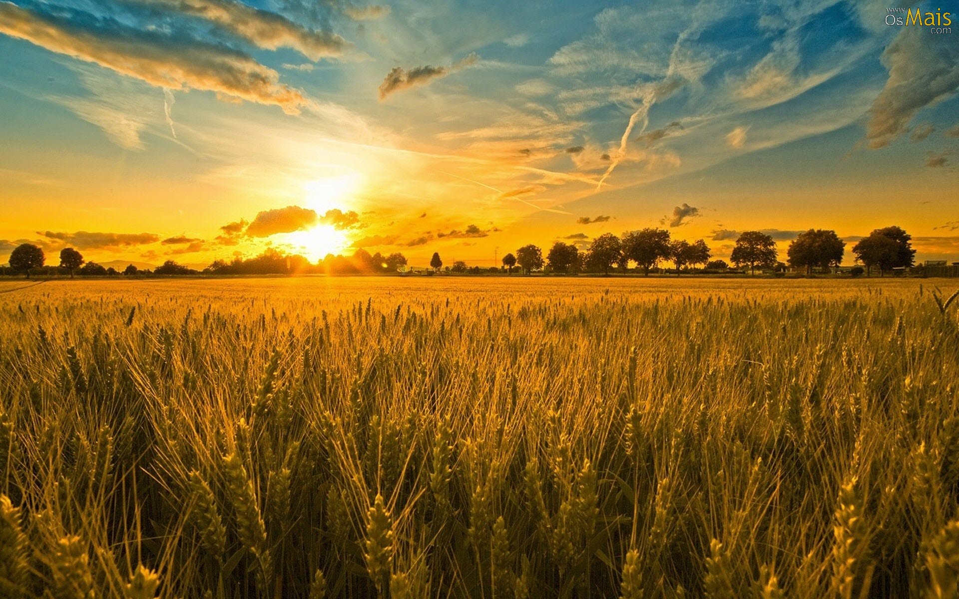 Fondo de pantalla   1920x1200