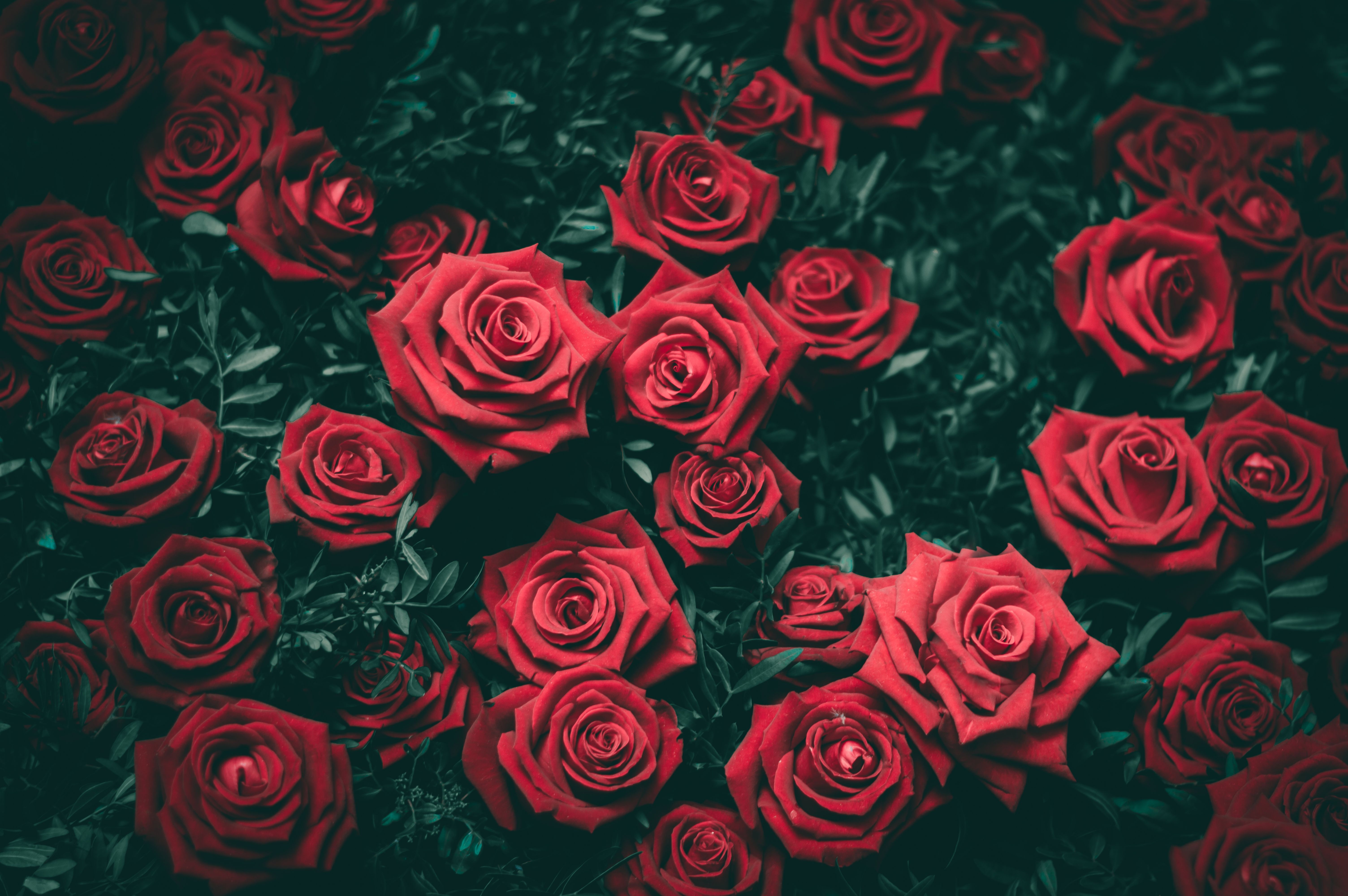 Fondo de pantalla de  6016x4000