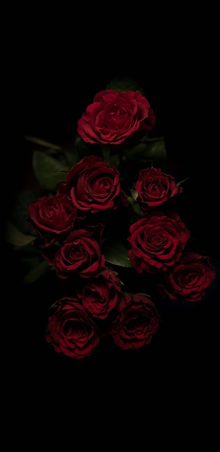 Fondo de pantalla de  720x1480