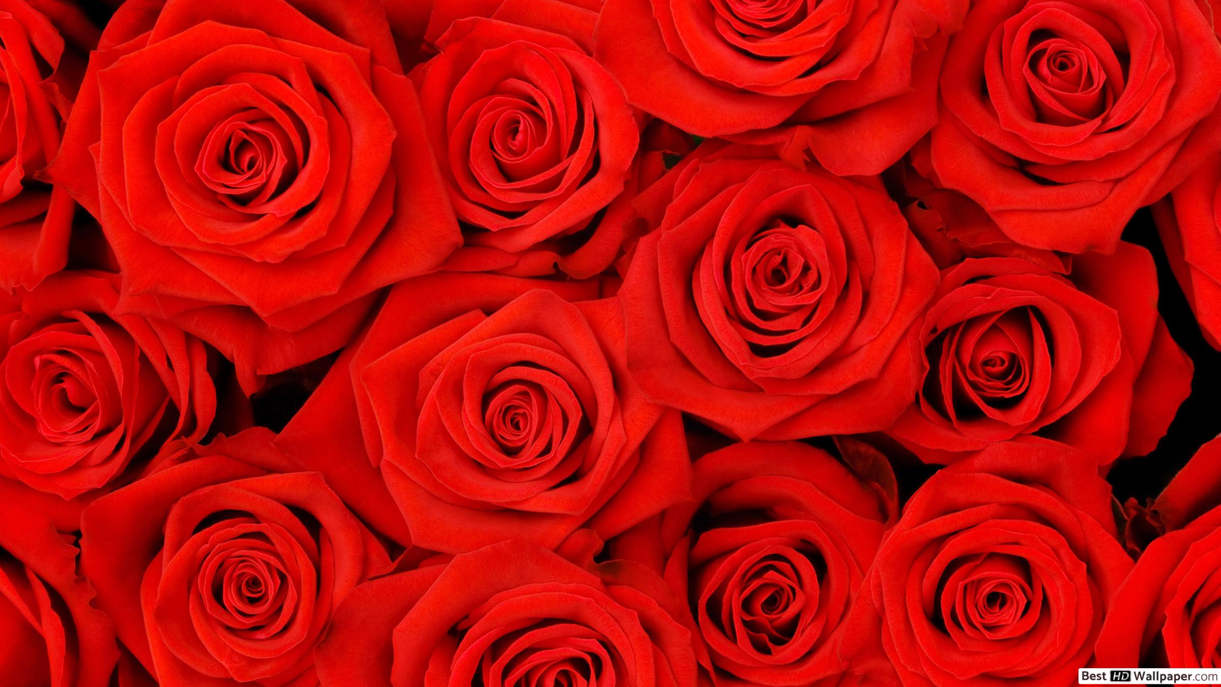 Fondo de pantalla de  2400x1350