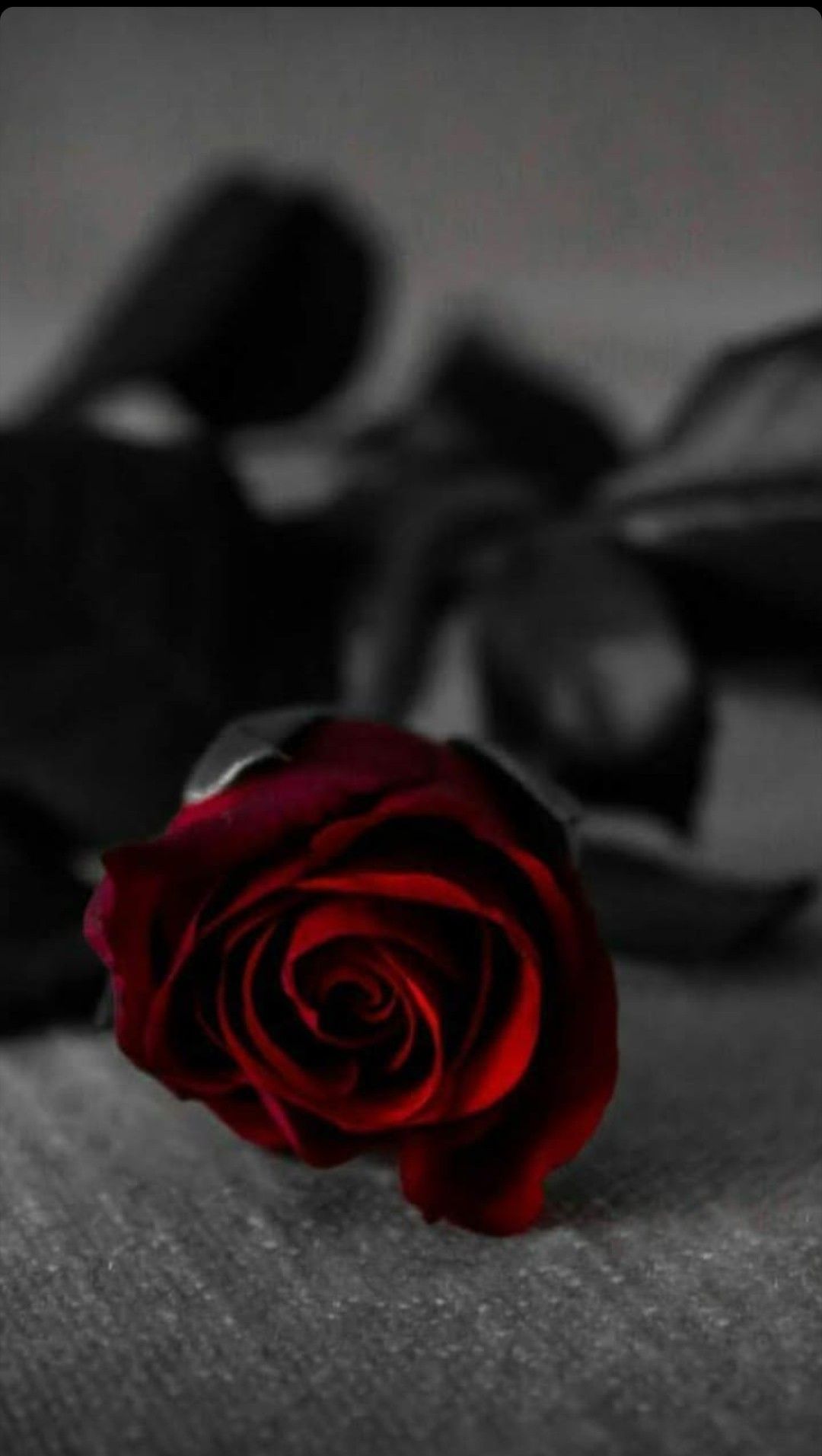 Fondo de pantalla de  1080x1913