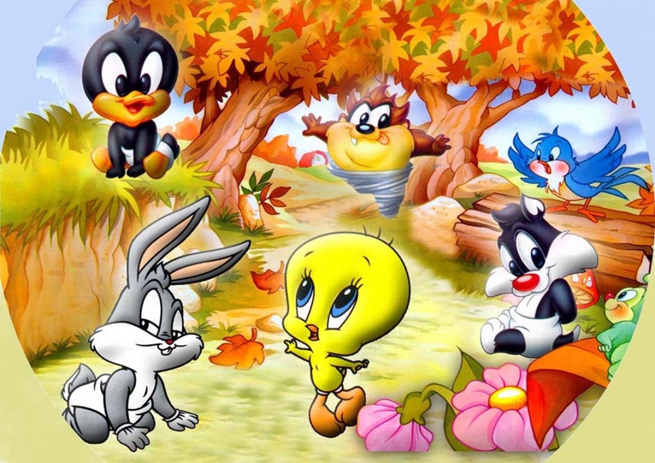 Fondo de pantalla de  1280x905