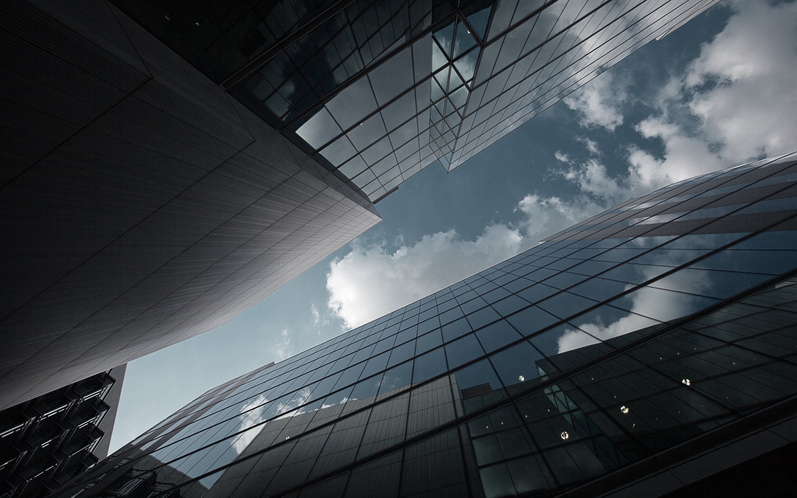 Fondo de pantalla de  2560x1600