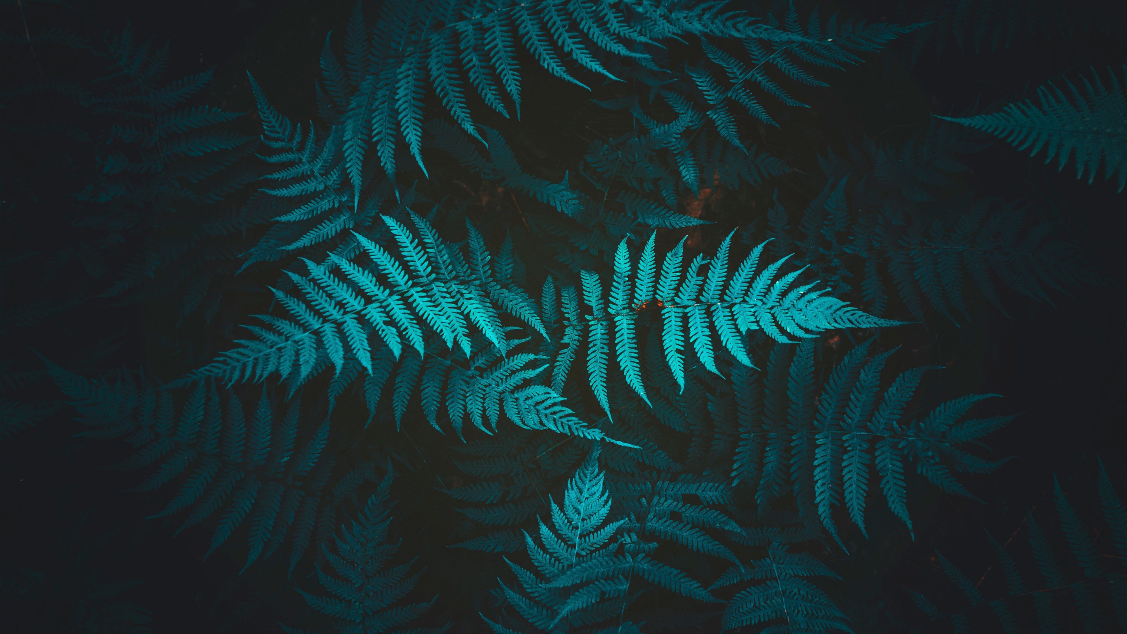 Fondo de pantalla de  3840x2160