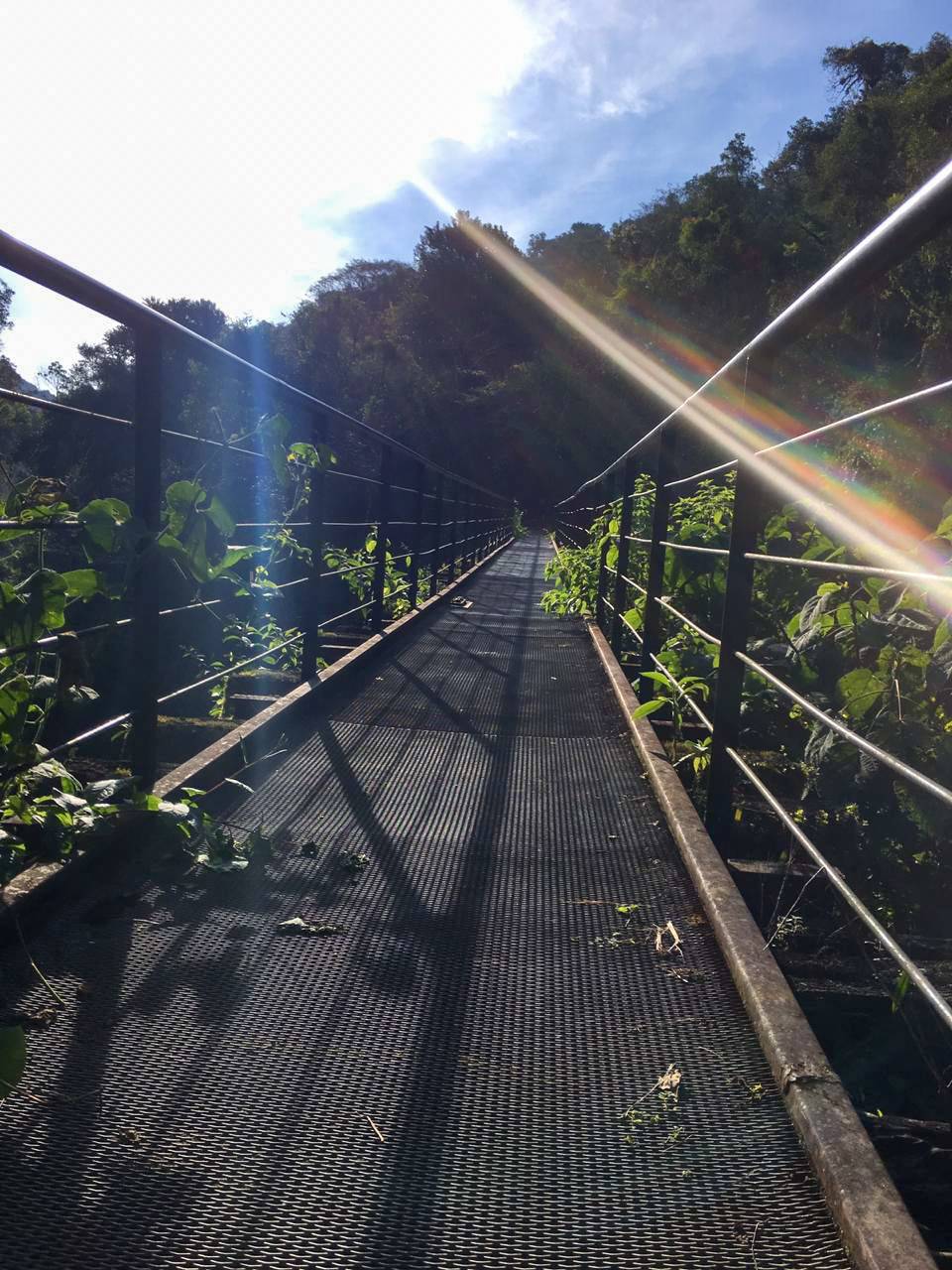 Fondo de pantalla de  960x1280