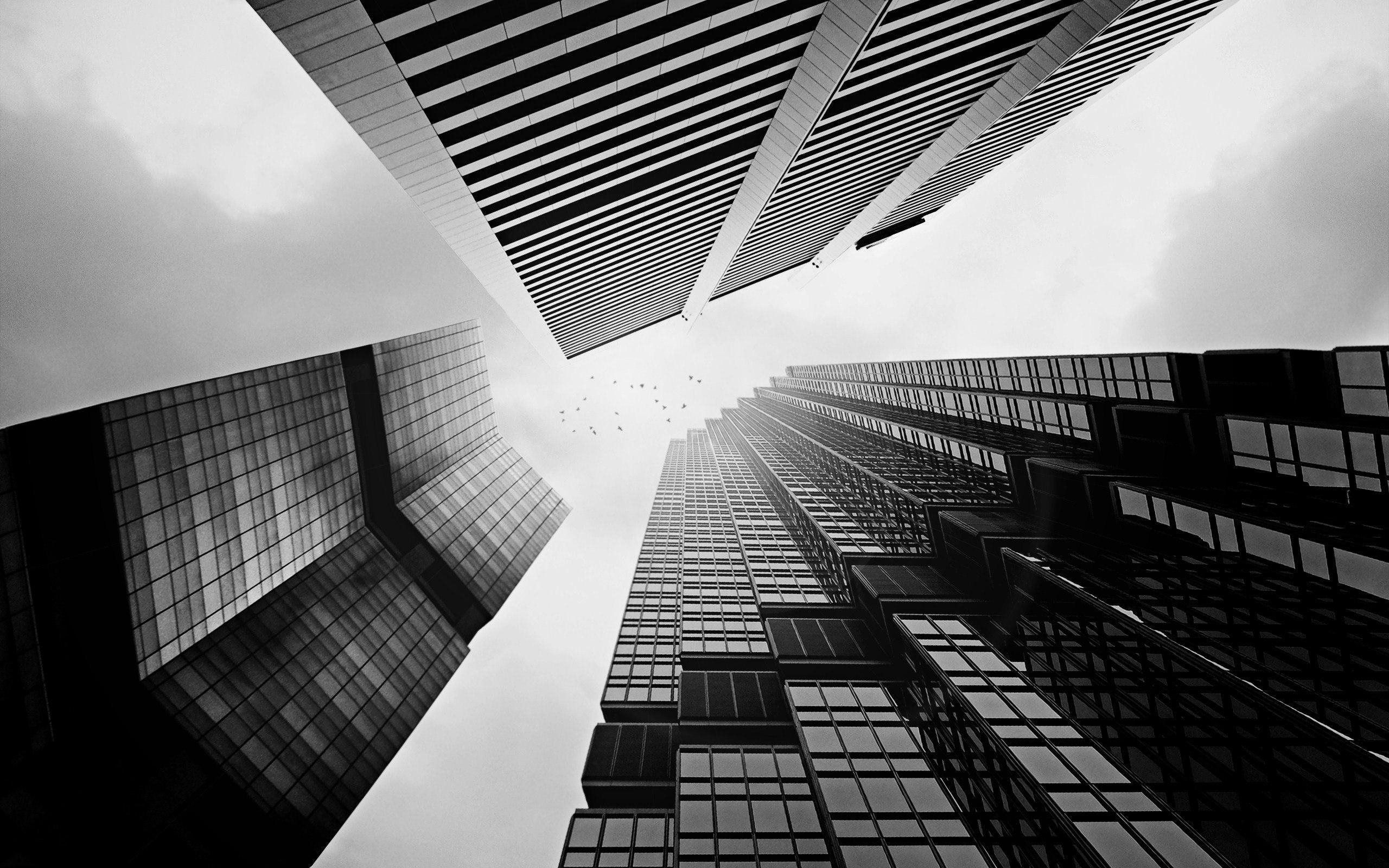 Fondo de pantalla de  2560x1600