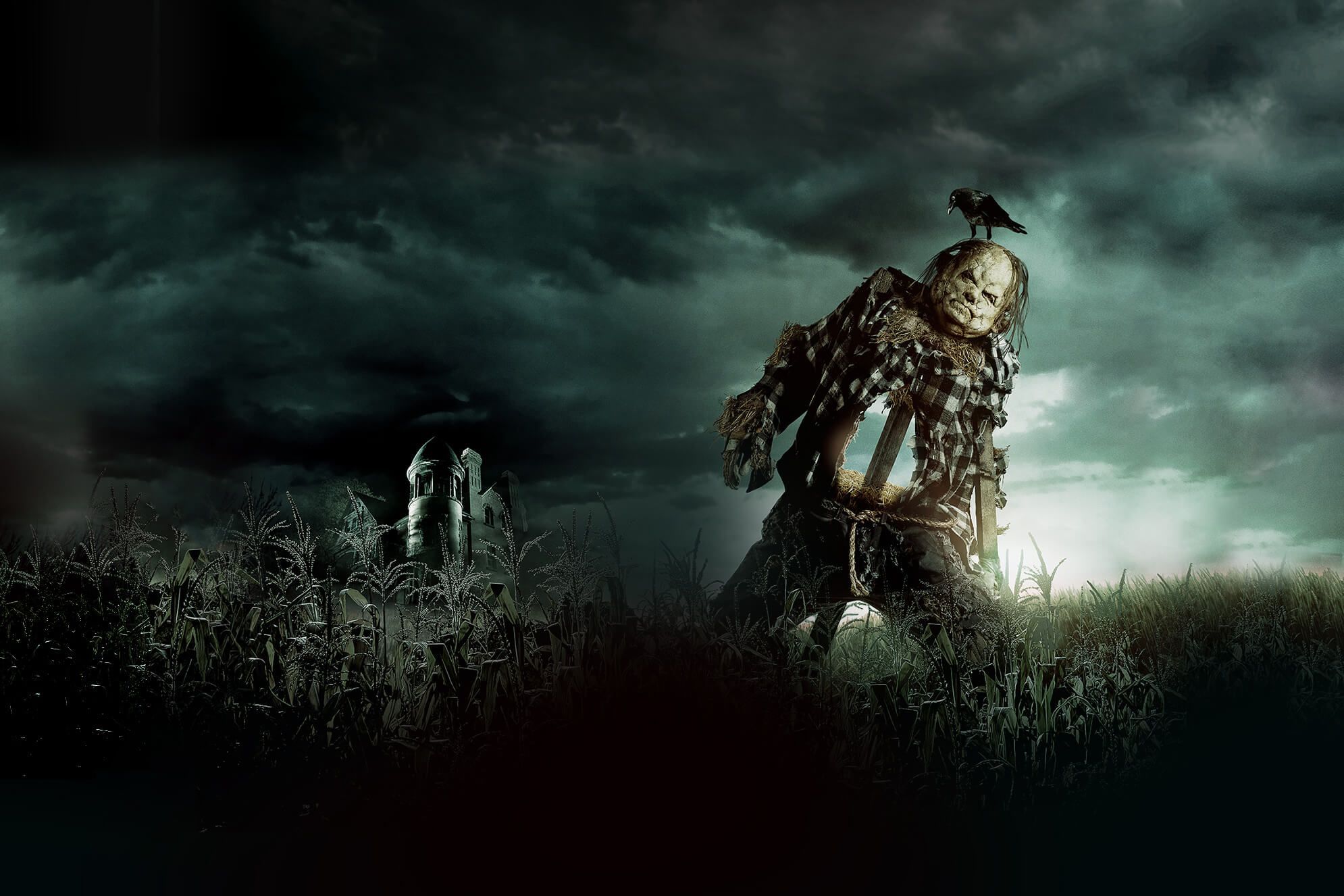 Fondo de pantalla de  1990x1326