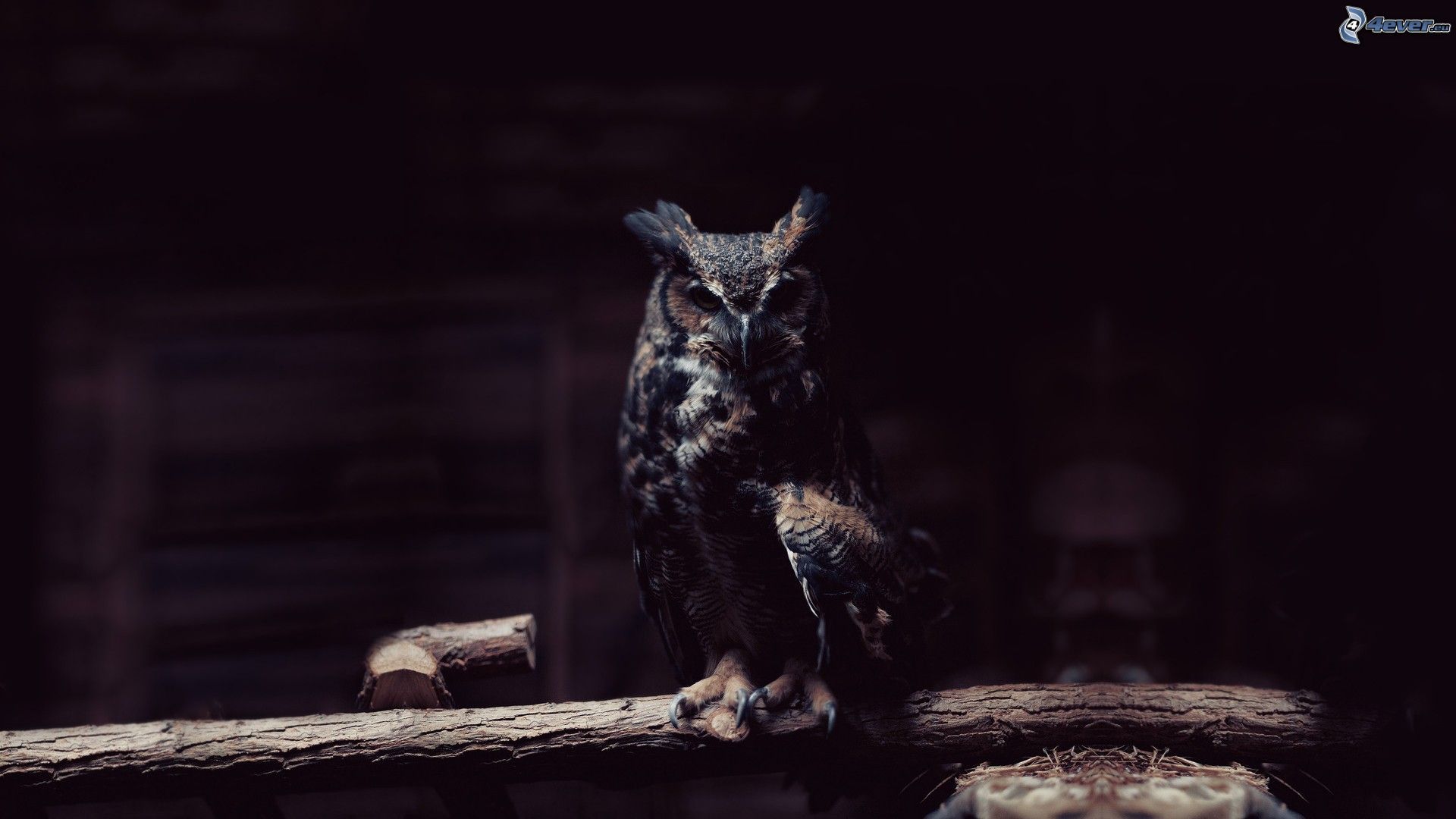 Fondo de pantalla de  1920x1080