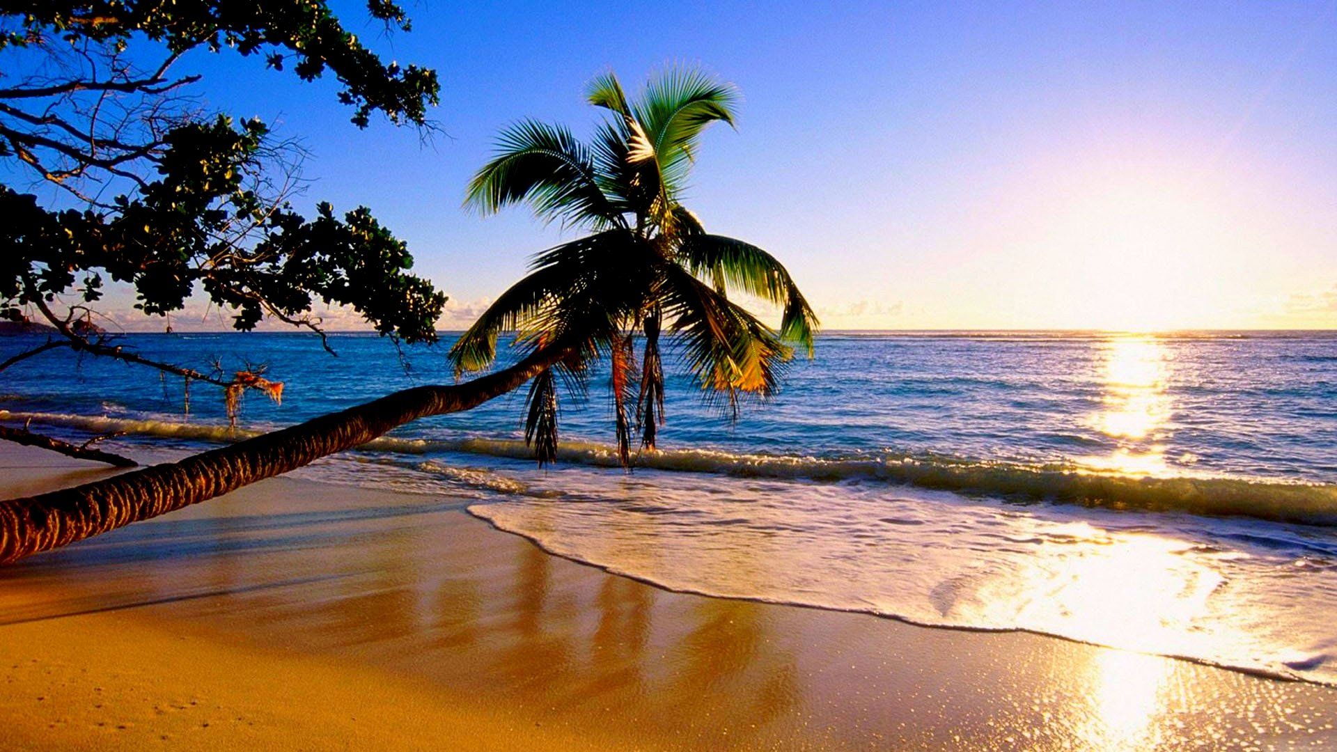 Wk fondos de pantalla hawaianos de 4k ultra hd - Free HD Wallpapers