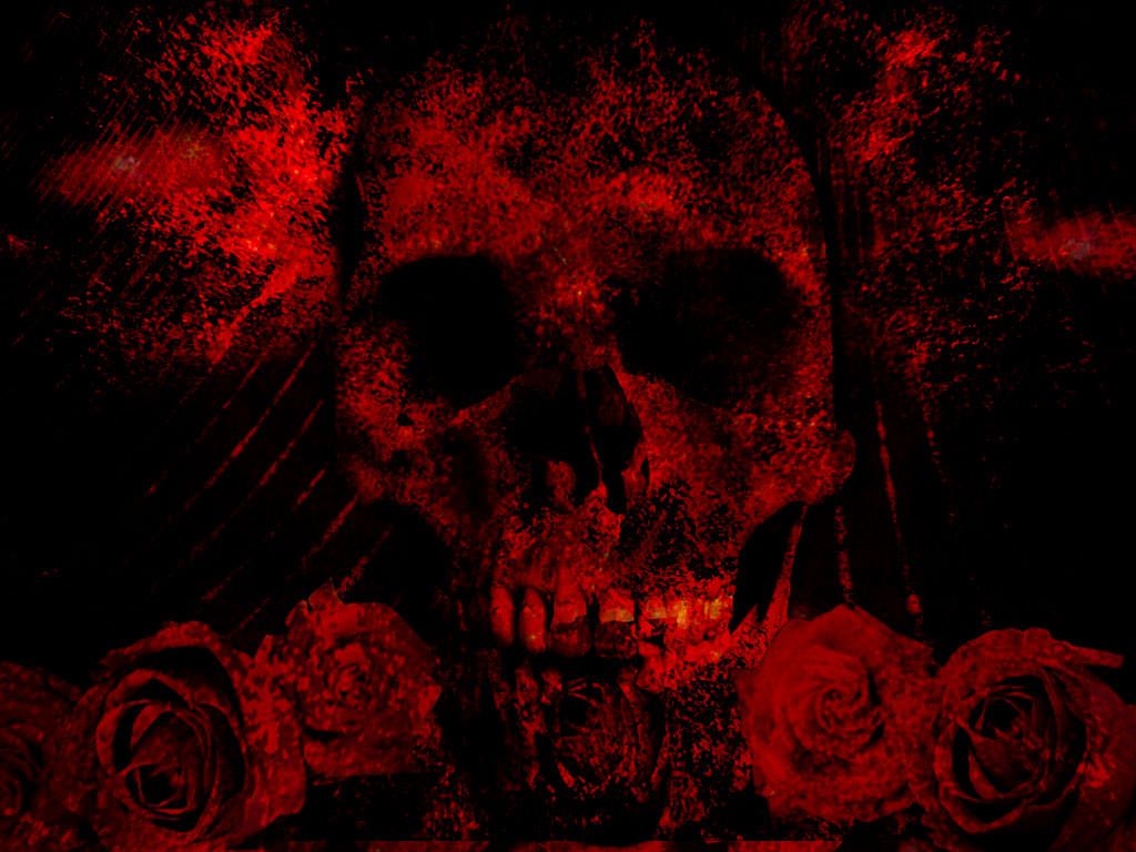 Fondo de pantalla de  1024x768