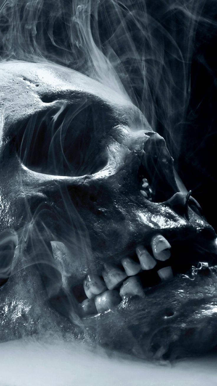 Fondo de pantalla de  736x1308