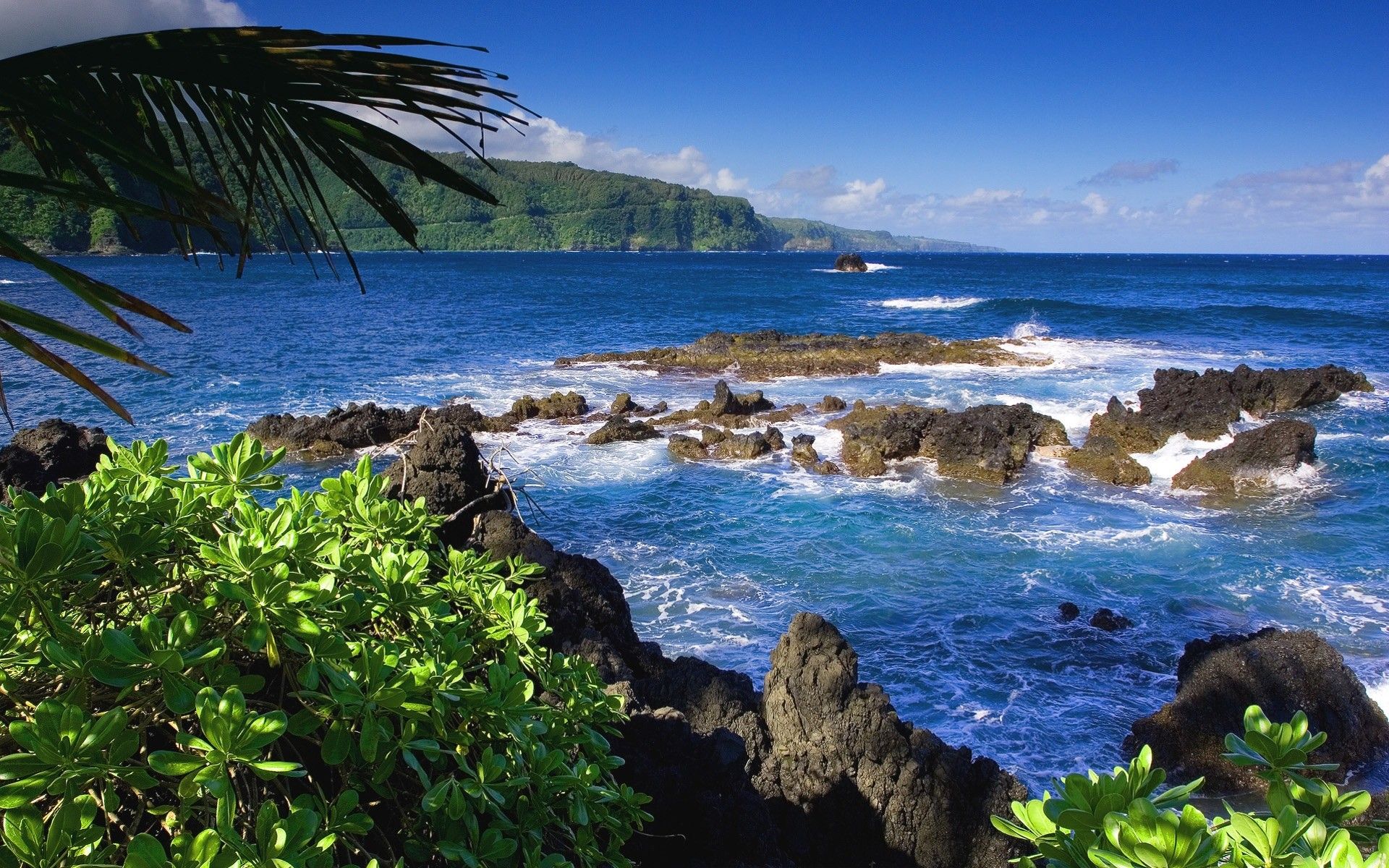 Hawaii Desktop Wallpapers (más de 67 imágenes de fondo)