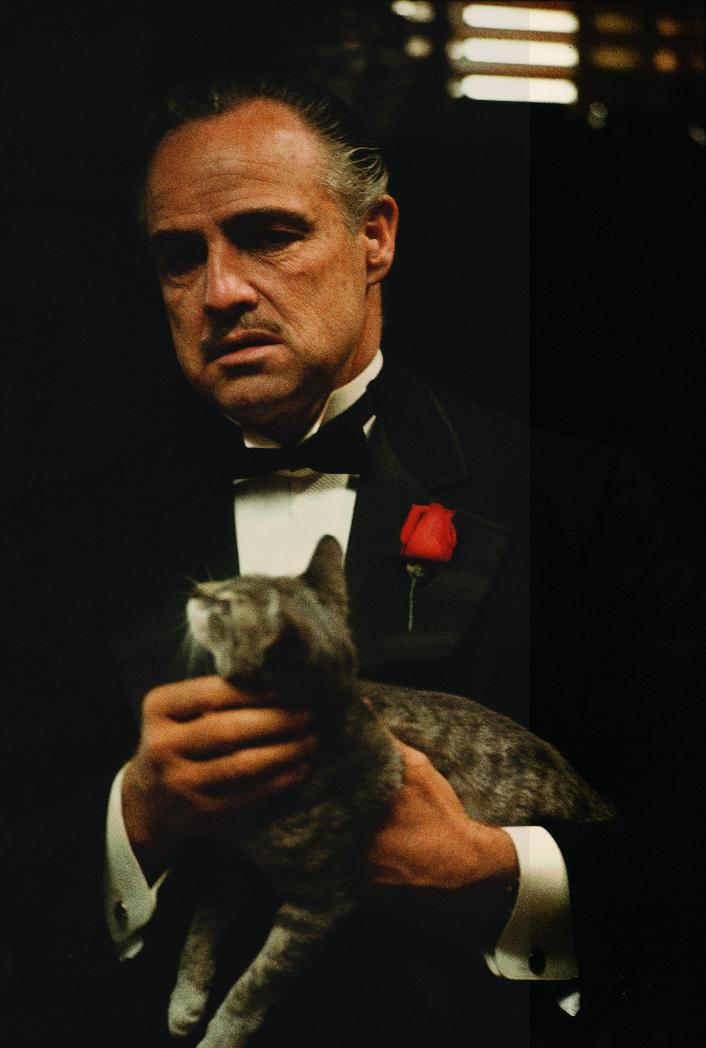 Fondo de pantalla de  2387x3543